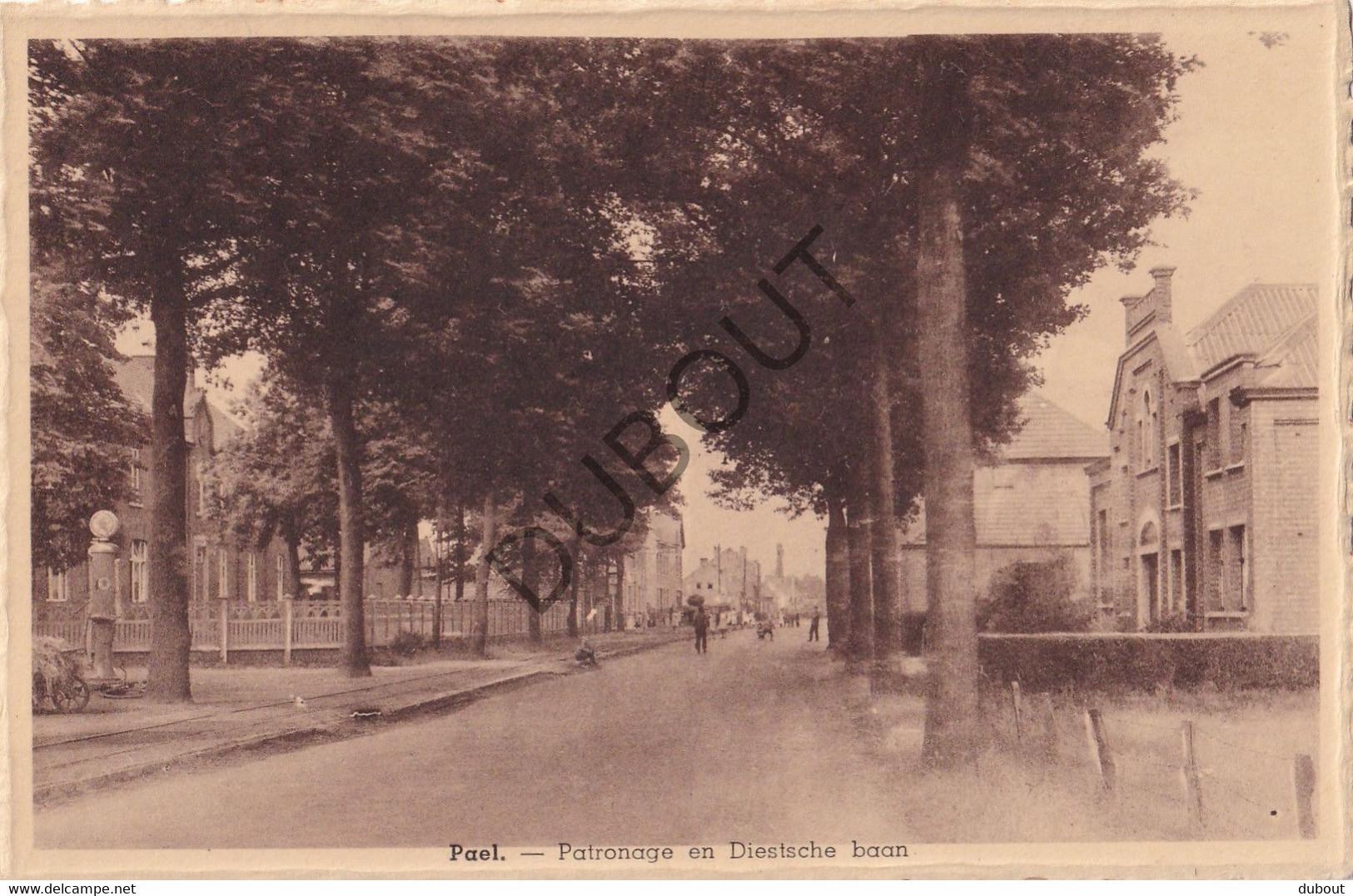 Postkaart/Carte Postale -  Paal  - Patronage En Diestsche Baan  (C3535) - Beringen