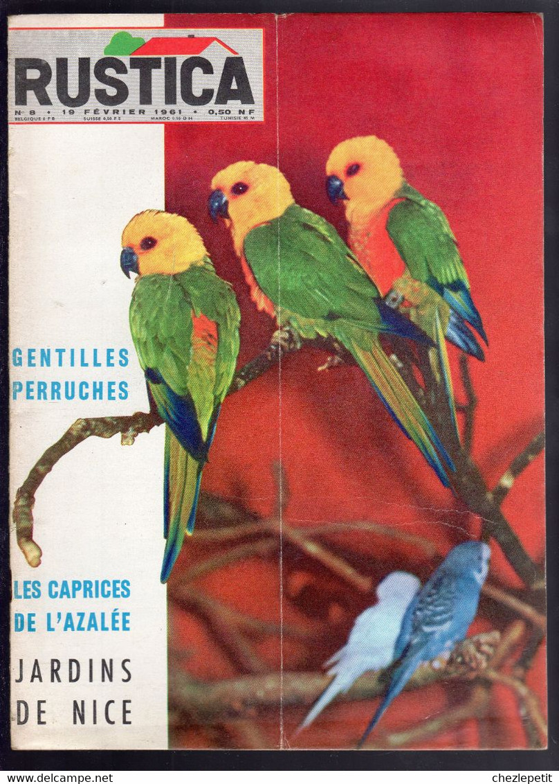 RUSTICA N°8 1961 Azalée Pigeon Salade Poireau Nice French Gardening Magazine - Jardinage