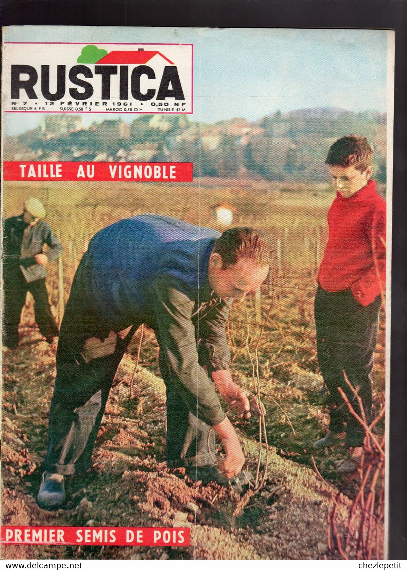 RUSTICA N°7 1961 Vignoble Anémone Pois Cresson écrevisse Gardening Magazine - Tuinieren