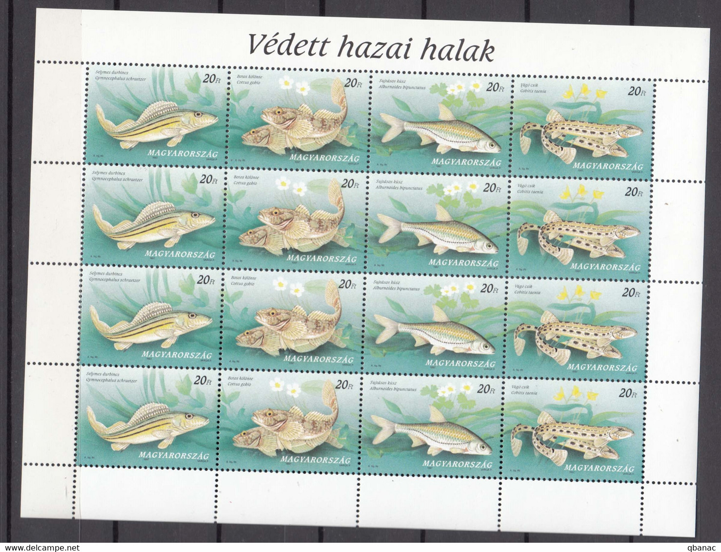 Hungary 1997 Fish Mi#4457-4460 Mint Never Hinged Kleinbogen - Unused Stamps