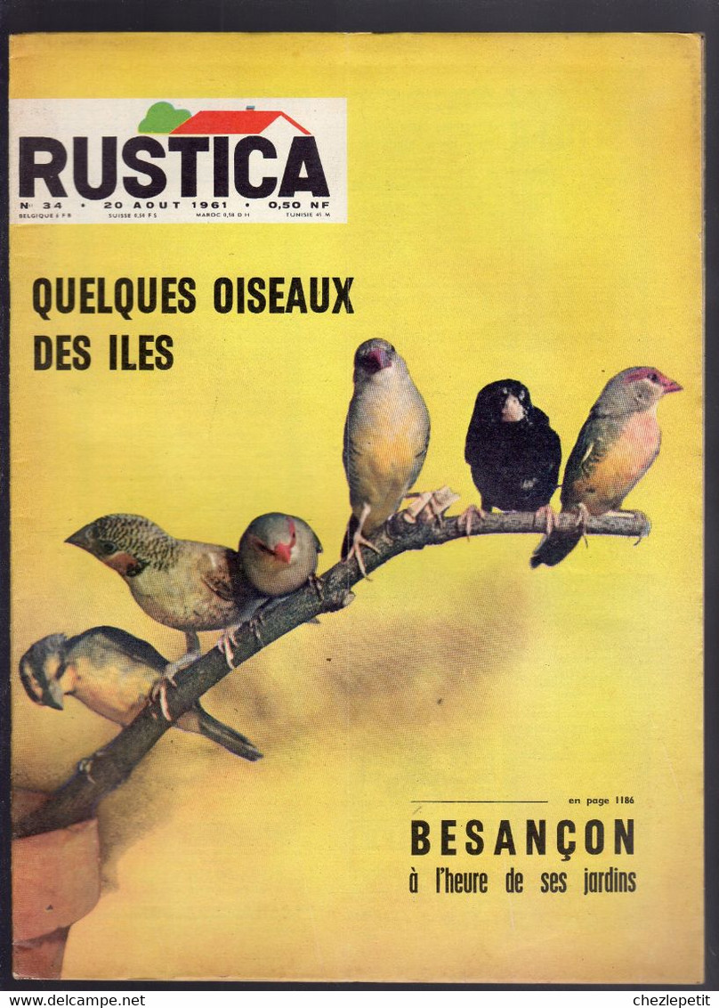 RUSTICA N°34 1961 Oiseaux Des Iles Oignon Pigeon Besançon Gardening Magazine - Tuinieren