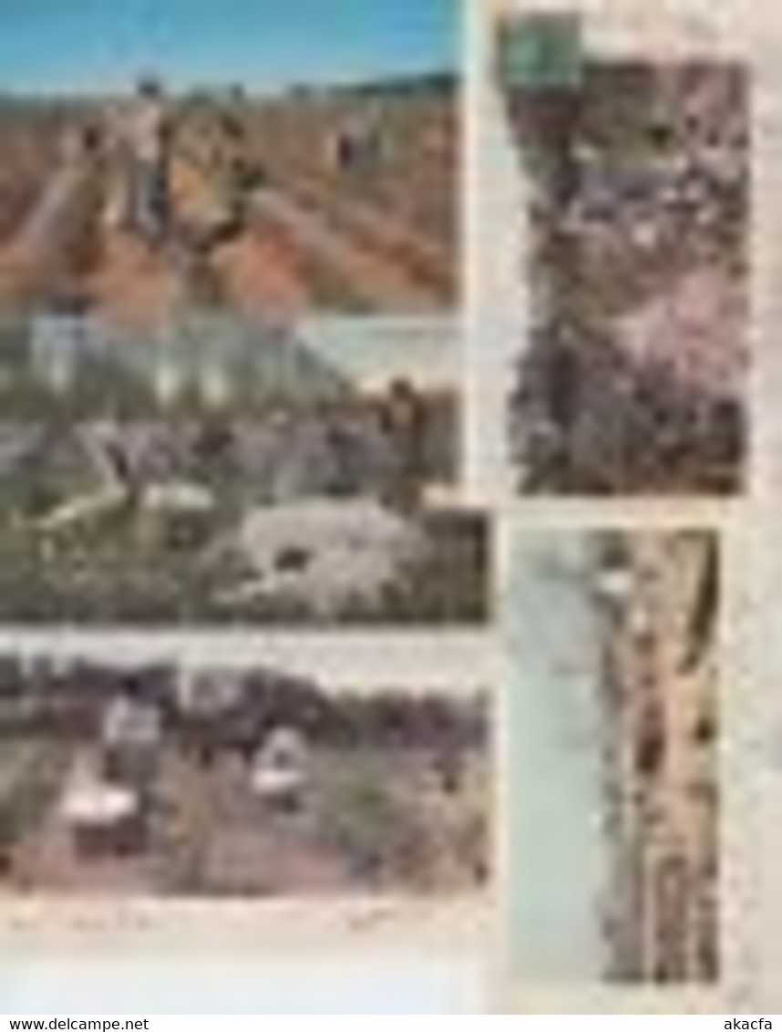 COTTON INDUSTRY USA CAMEROUN 18 Vintage Postcards, Photos Pre-1940 (L3758) - Other & Unclassified