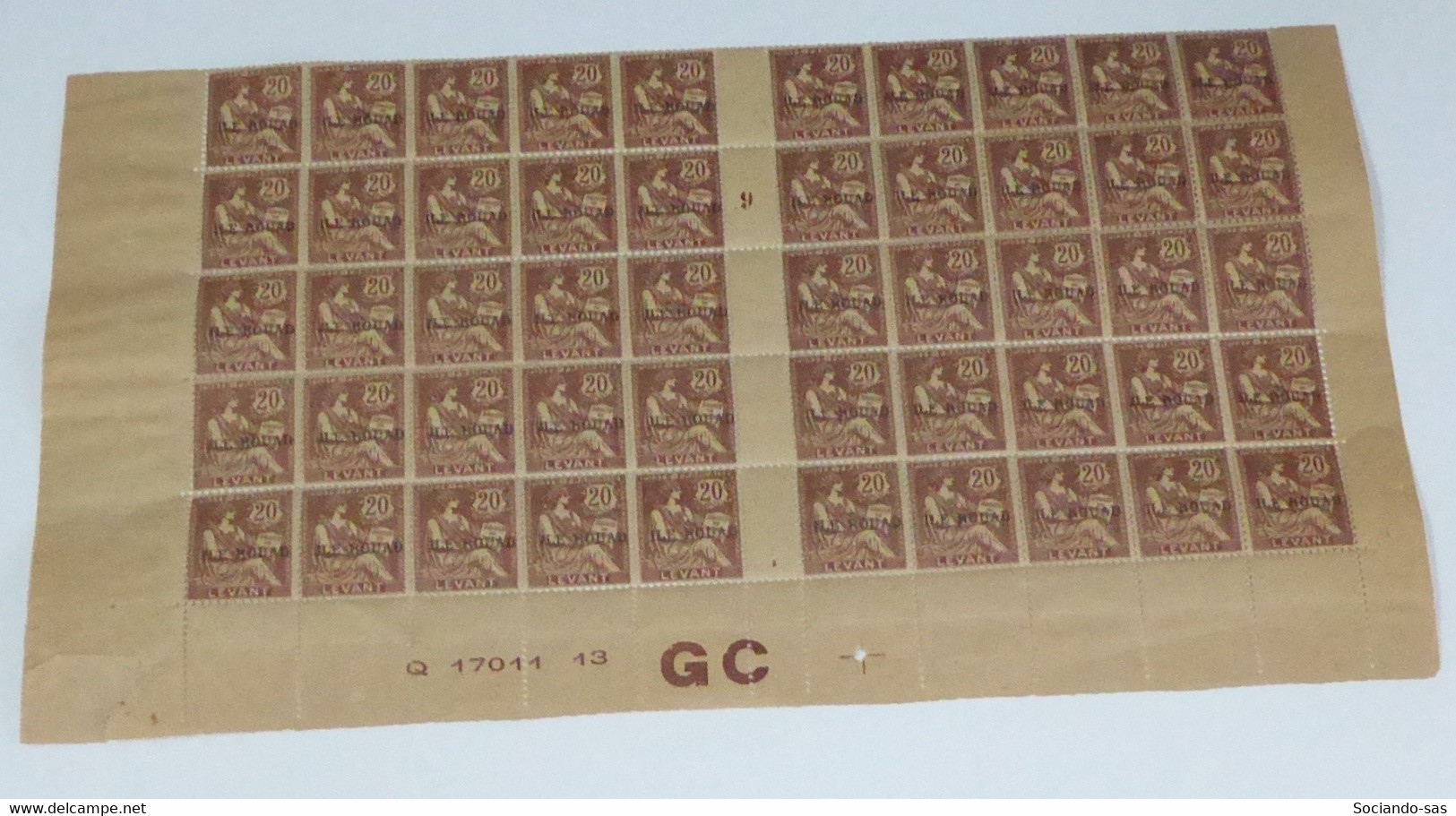 ROUAD - 1916-20 - N°Yv. 10a - Type Mouchon 20c Brun - Papier GC - Bloc De 50 - Bord De Feuille - Neuf Luxe ** / MNH - Unused Stamps