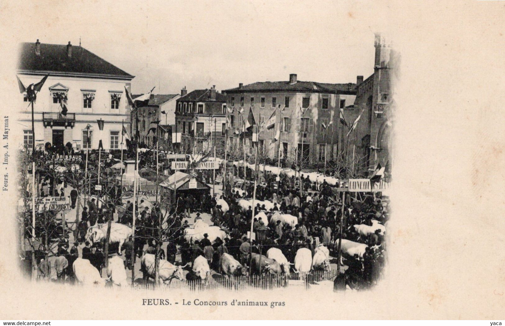 Feurs Le Concours D'animaux Gras   Prix D'honneur   Foire Boeufs Vaches - Kermissen