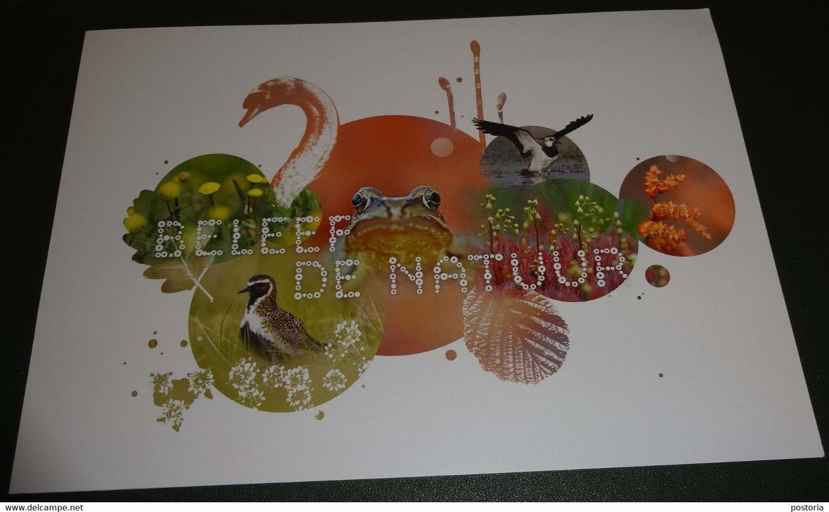 Nederland - NVPH - 2023 - Bewaarmap Beleef De Natuur - Leeg - Voor De 4 Velletjes Die In 2023 Verschijnen - Sonstige & Ohne Zuordnung