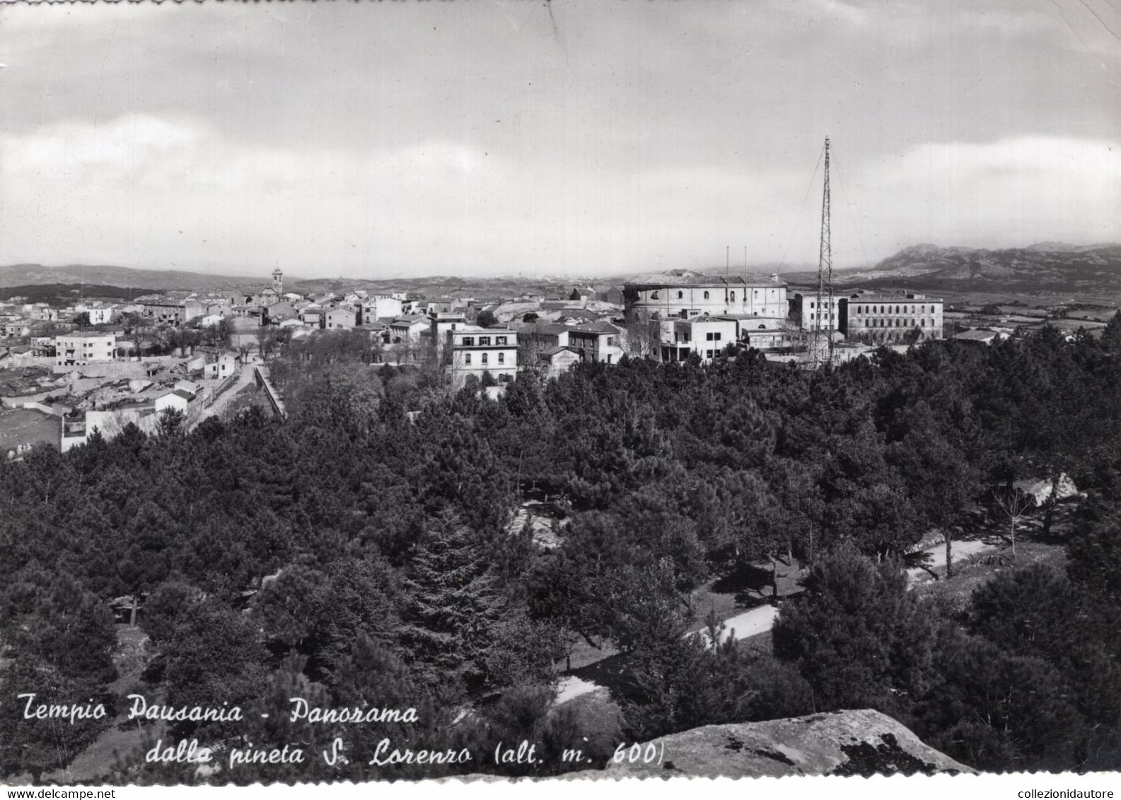 TEMPIO PAUSANIA - PANORAMA DALLA PINETA S. LORENZO - CARTOLINA FG SPEDITA ANNI 50 - Olbia