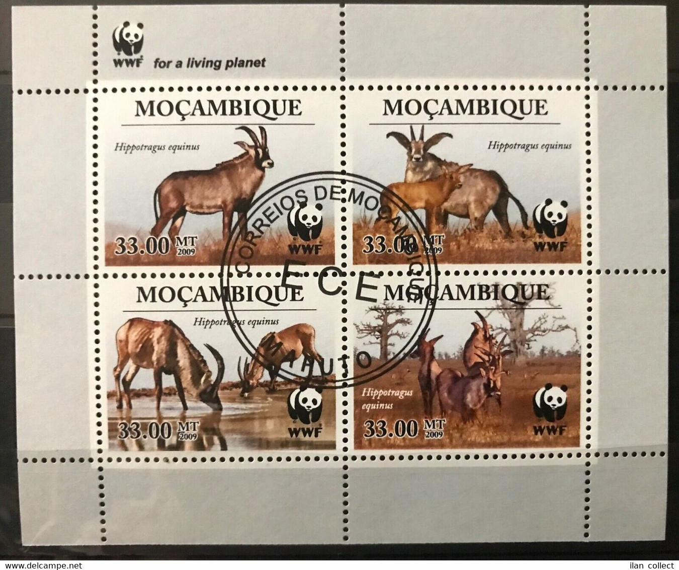 Mozambique - WWF / Animals / Nature - S/S Stamps - CTO - Z9 - Usados