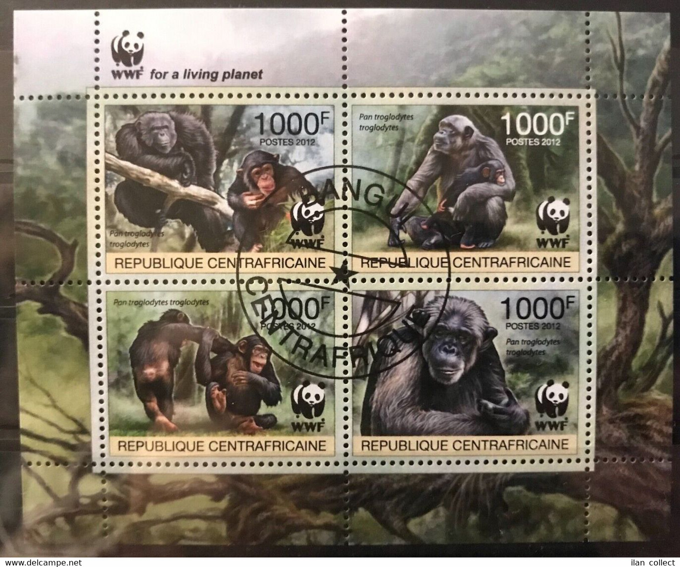 CAR - WWF / Birds / Fauna / Nature - Timbres - Stamps CTO - B304 - Oblitérés