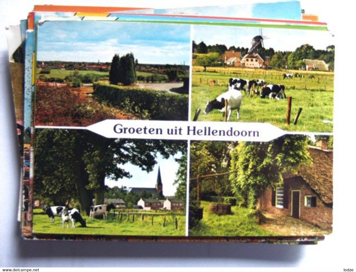 Nederland Holland Pays Bas Hellendoorn Met Koeien En Molen - Hellendoorn