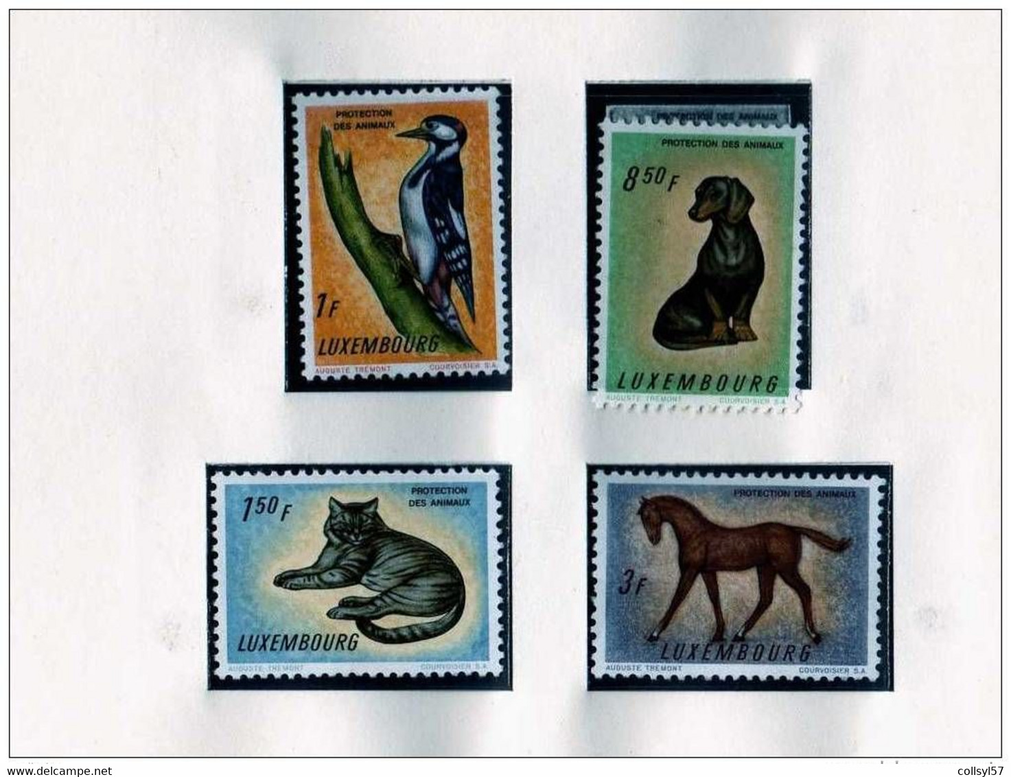 LUXEMBOURG  Année 1961 - Chien - Chat - Cheval - Oiseau - Full Years