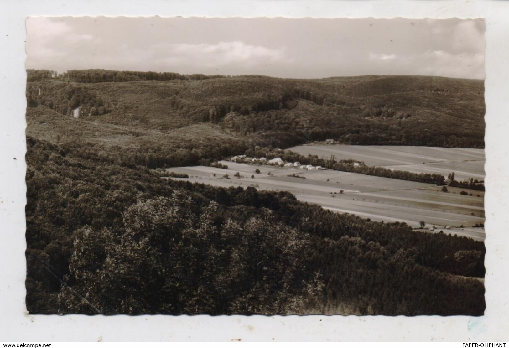 3257 SPRINGE Am Deister, Blick Auf Bielstein, 1957 - Springe