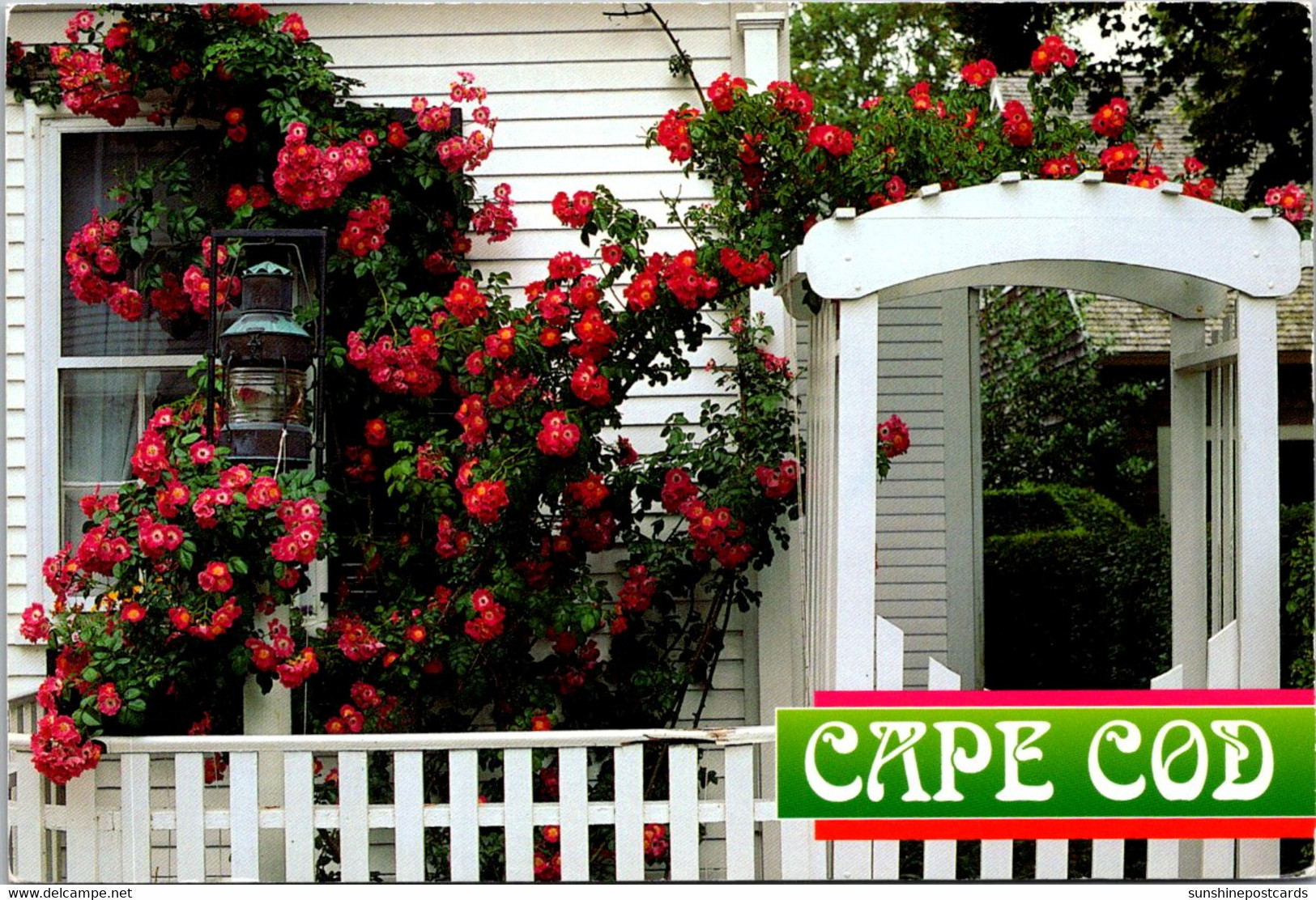 Massachusetts Cape Cod Beautiful Rose Covered Cottage 1996 - Cape Cod