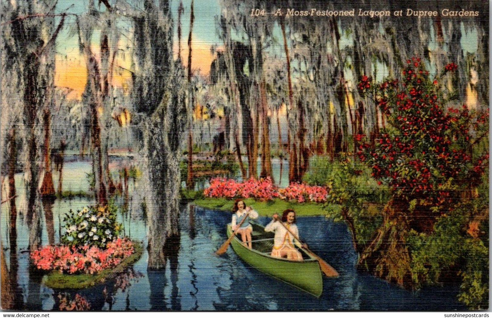 Florida Tampa Moss Festooned Lagoon At Dupree Gardens Curteich - Tampa