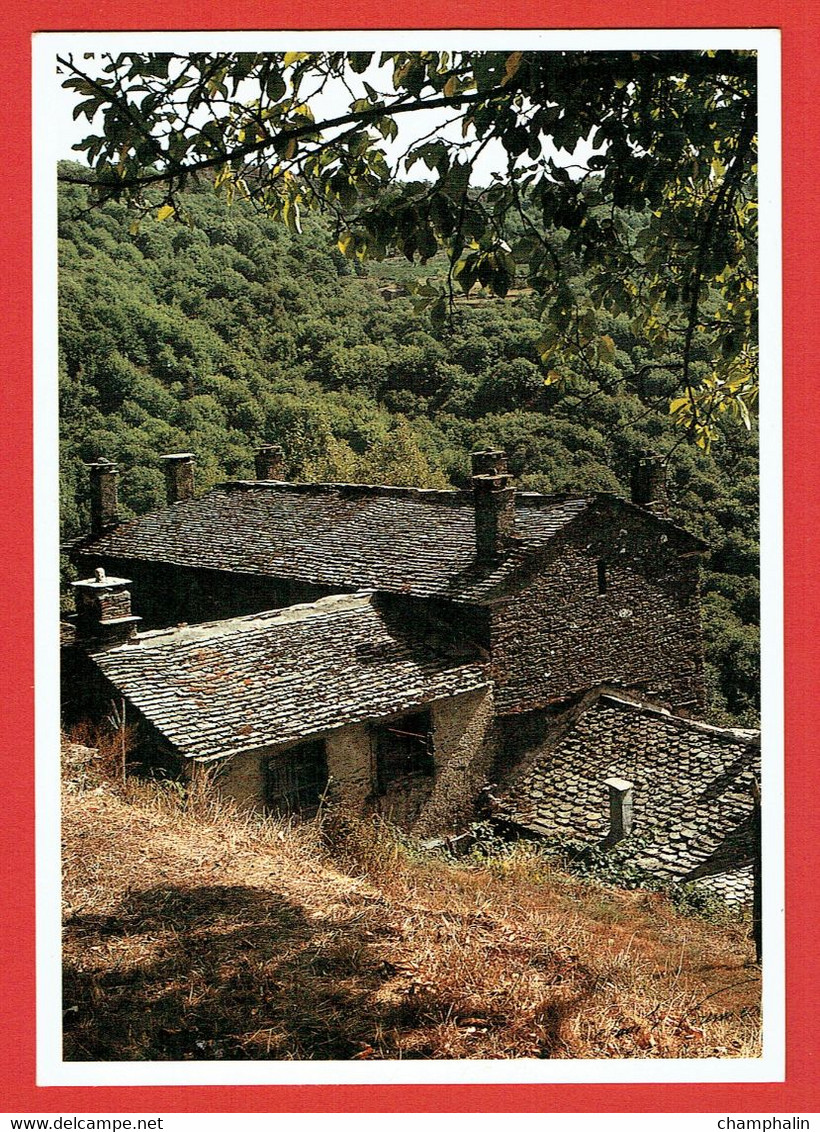 Cévennes - Une Certaine élégance - Notre-Dame-de-la-Rouvière