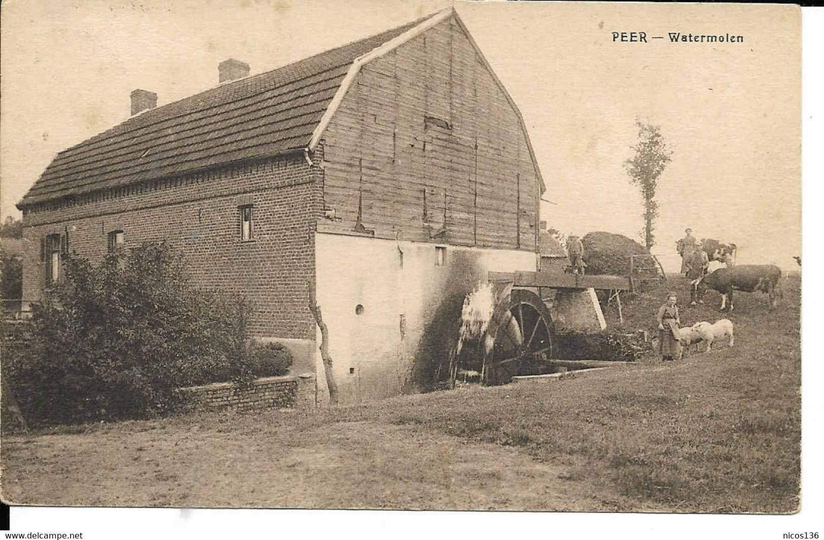 PEER   WATERMOLEN - Peer