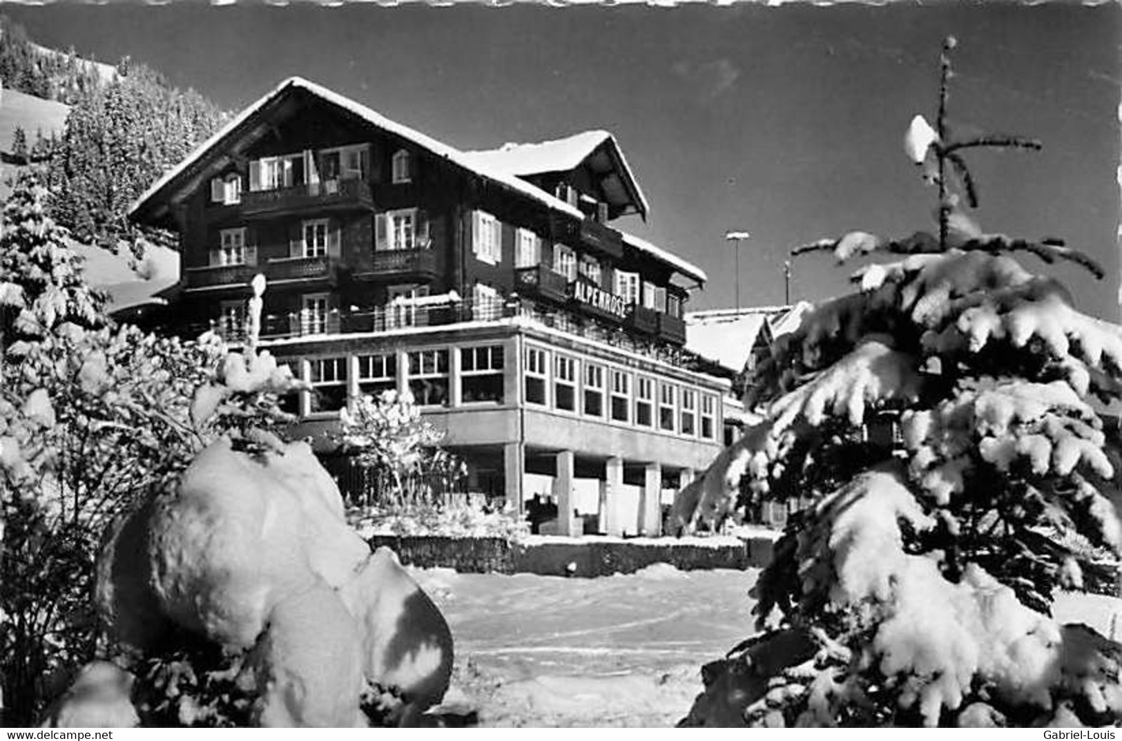 Adelboden Hotel Alpenrose - Adelboden