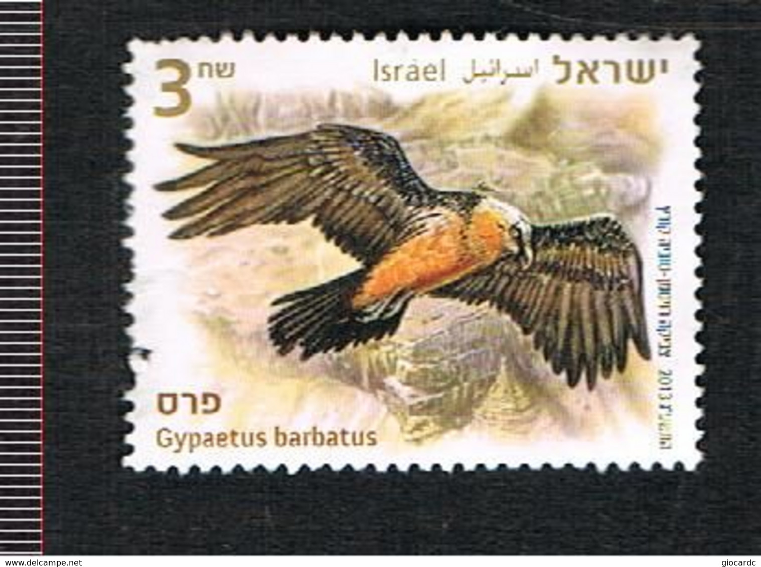 ISRAELE (ISRAEL)  - SG 2209   - 2013 BIRDS OF PREY: GYPAETUS BARBATUS  - USED° WITH LIGHT DEFECT IN PERFORATION - Oblitérés (sans Tabs)
