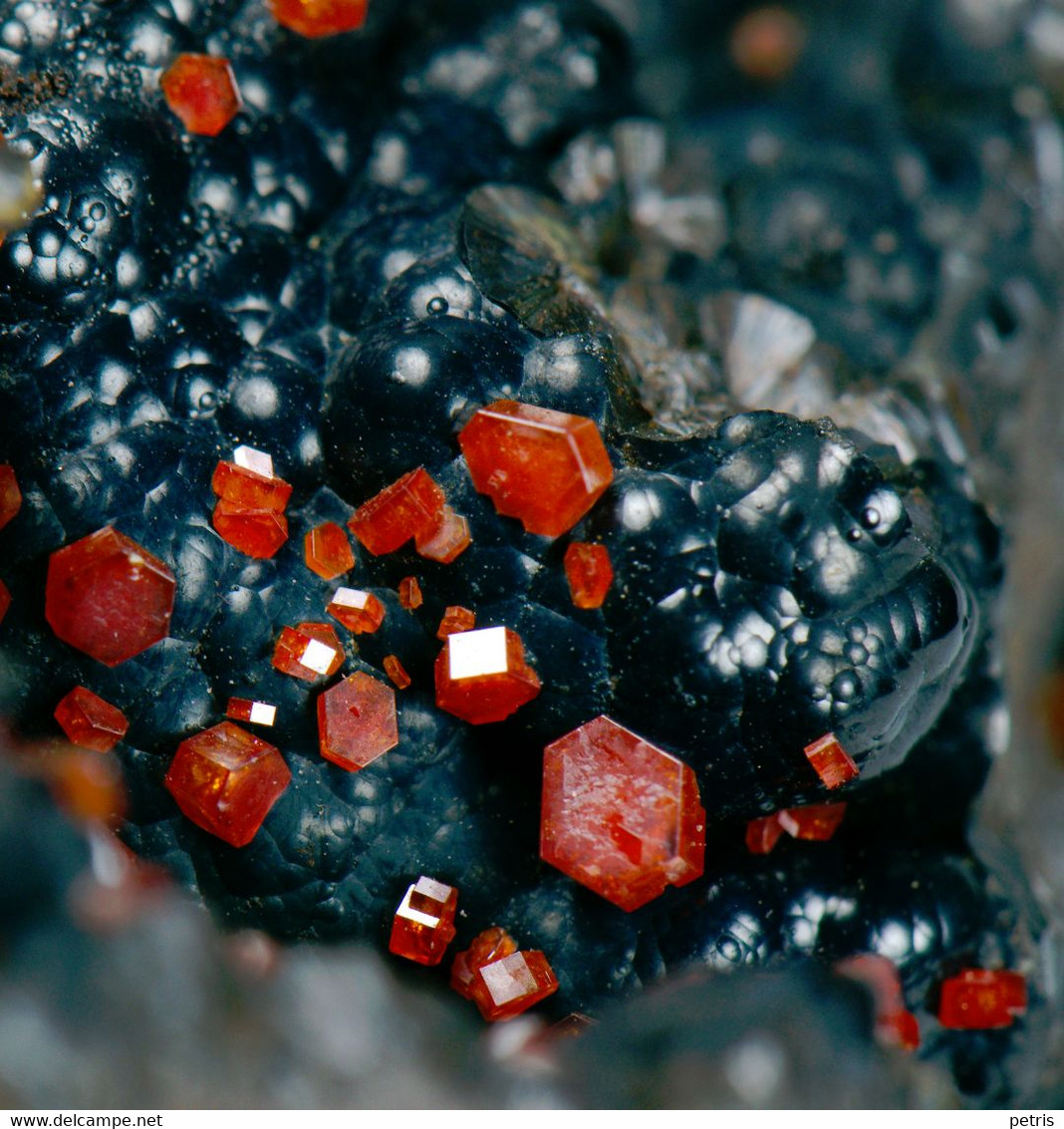 Mineral - Vanadinite Su Goethite (Taouz, Draa Tafilalet, Morocco) - Lot. 957 - Minéraux