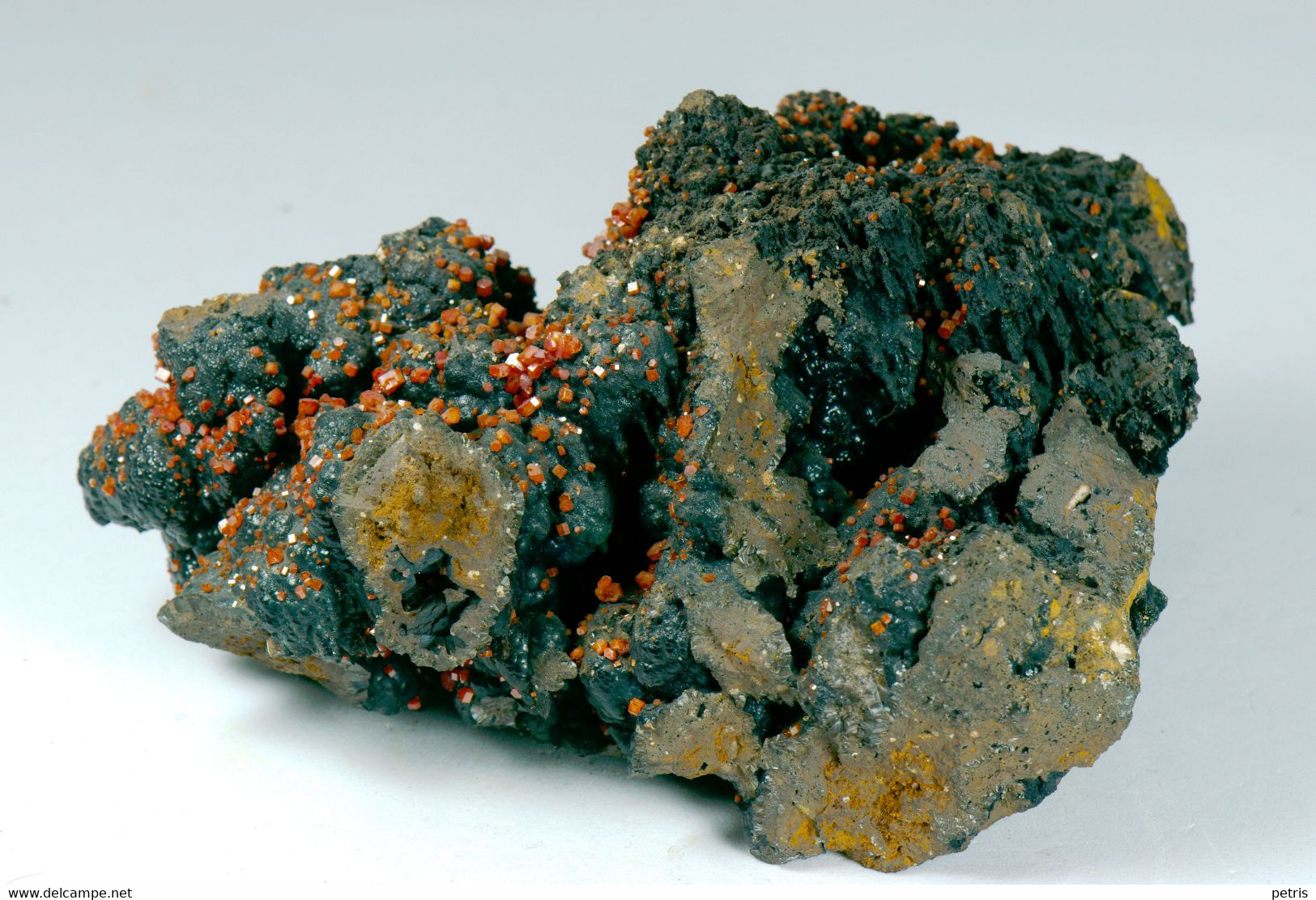 Mineral - Vanadinite Su Goethite (Taouz, Draa Tafilalet, Morocco) - Lot. 957 - Minéraux