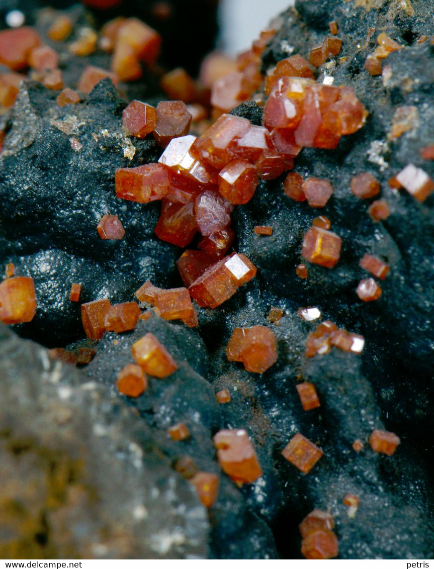 Mineral - Vanadinite Su Goethite (Taouz, Draa Tafilalet, Morocco) - Lot. 957 - Minéraux