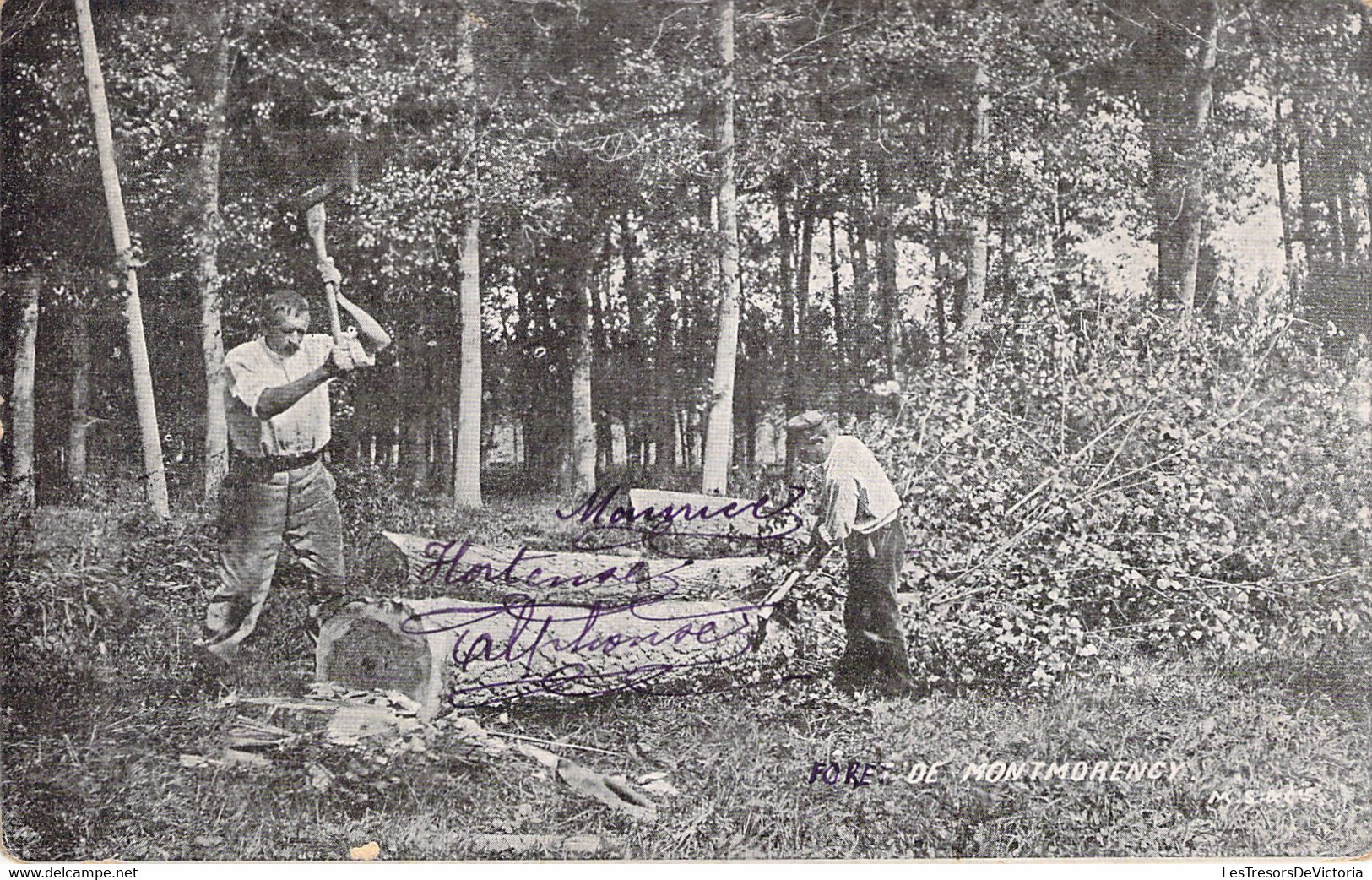 FRANCE - 95 - MONTMORENCY - Fôret - Bucherons - Carte Postale Ancienne - Montmorency