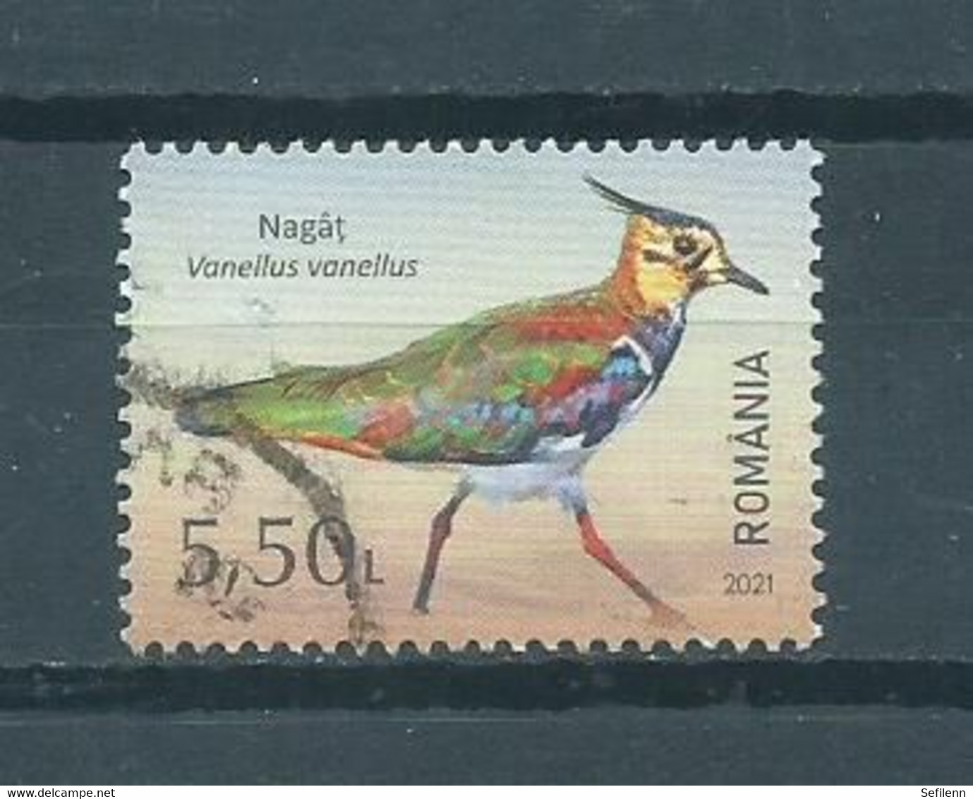 2021 Hungary Bird,oiseaux,vögel Used/gebruikt/oblitere - Gebraucht