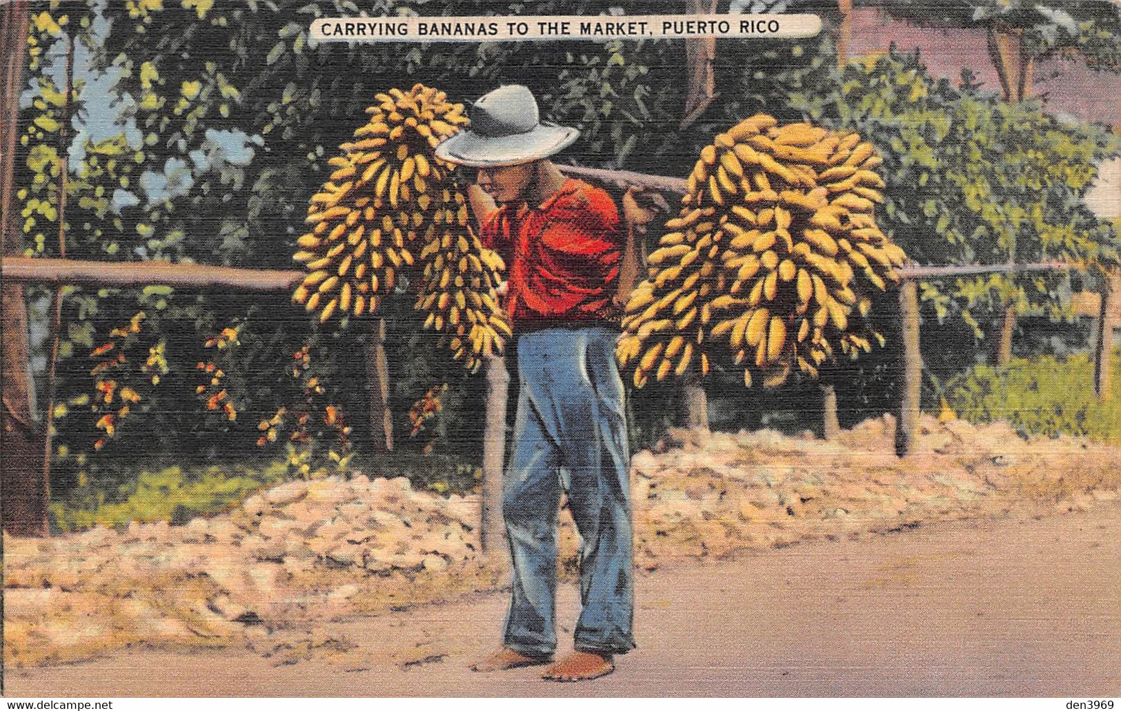 Amérique - PUERTO RICO - Carrying Bananas To The Market - Porteur De Bananes - Voyagé (voir Les 2 Scans) - Puerto Rico