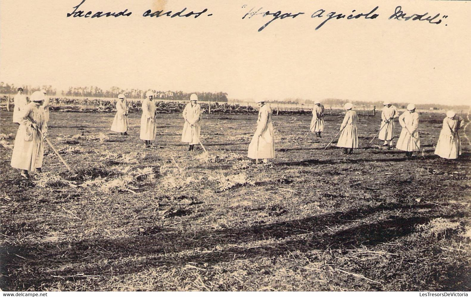 Carte Photo - Glaneuses Agricoles - Animé - Carte Postale Ancienne - Autres & Non Classés