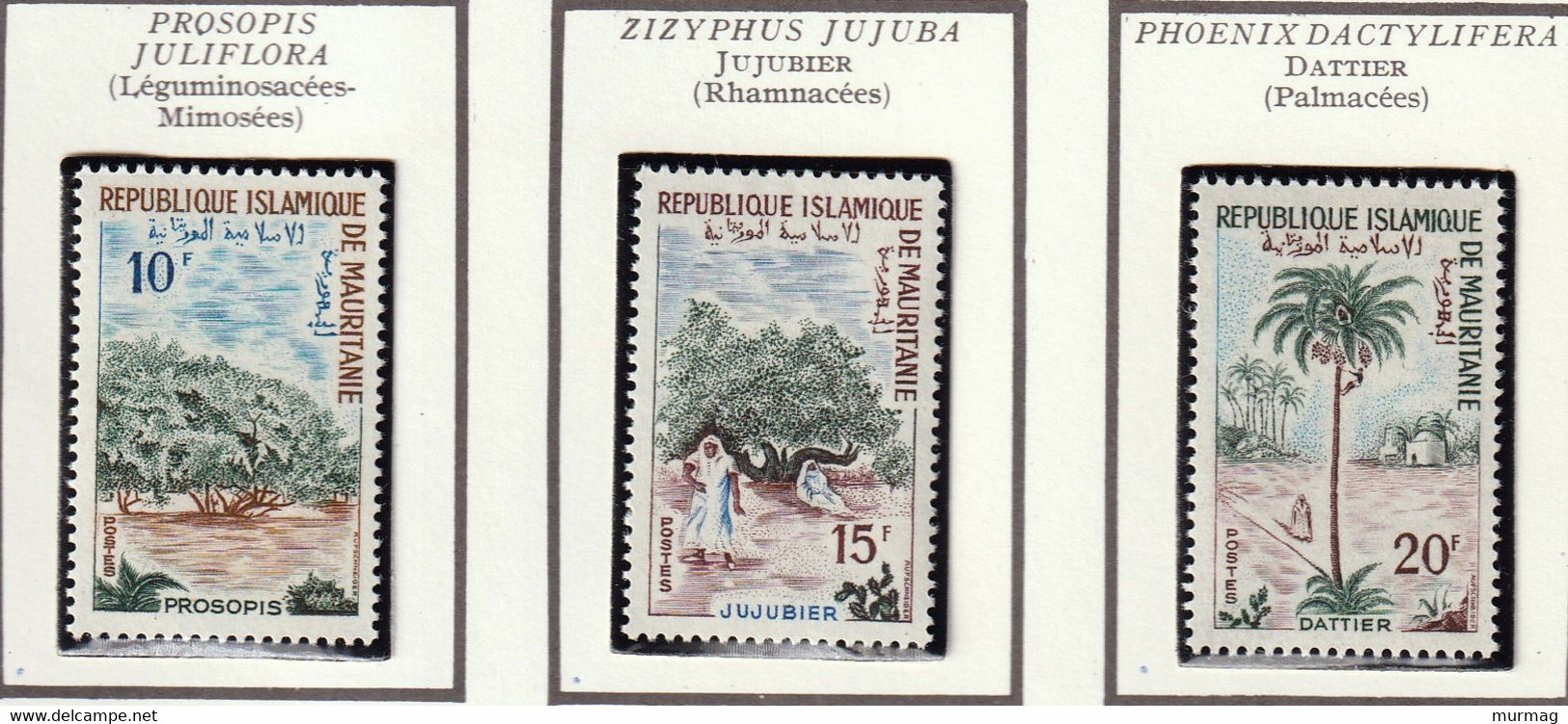 MAURITANIE - Arbres, Proposis, Jujubier, Dattier, Peltophorum, Baobab - Y&T N° 227-231 - 1967 - MNH - Mauritanie (1960-...)