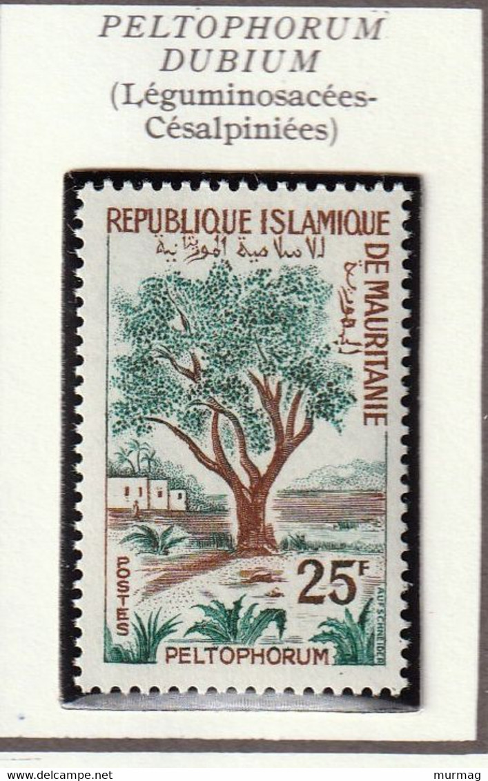 MAURITANIE - Arbres, Proposis, Jujubier, Dattier, Peltophorum, Baobab - Y&T N° 227-231 - 1967 - MNH - Mauritanie (1960-...)