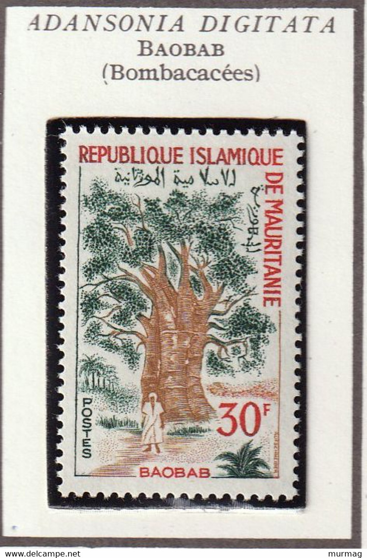 MAURITANIE - Arbres, Proposis, Jujubier, Dattier, Peltophorum, Baobab - Y&T N° 227-231 - 1967 - MNH - Mauritanie (1960-...)