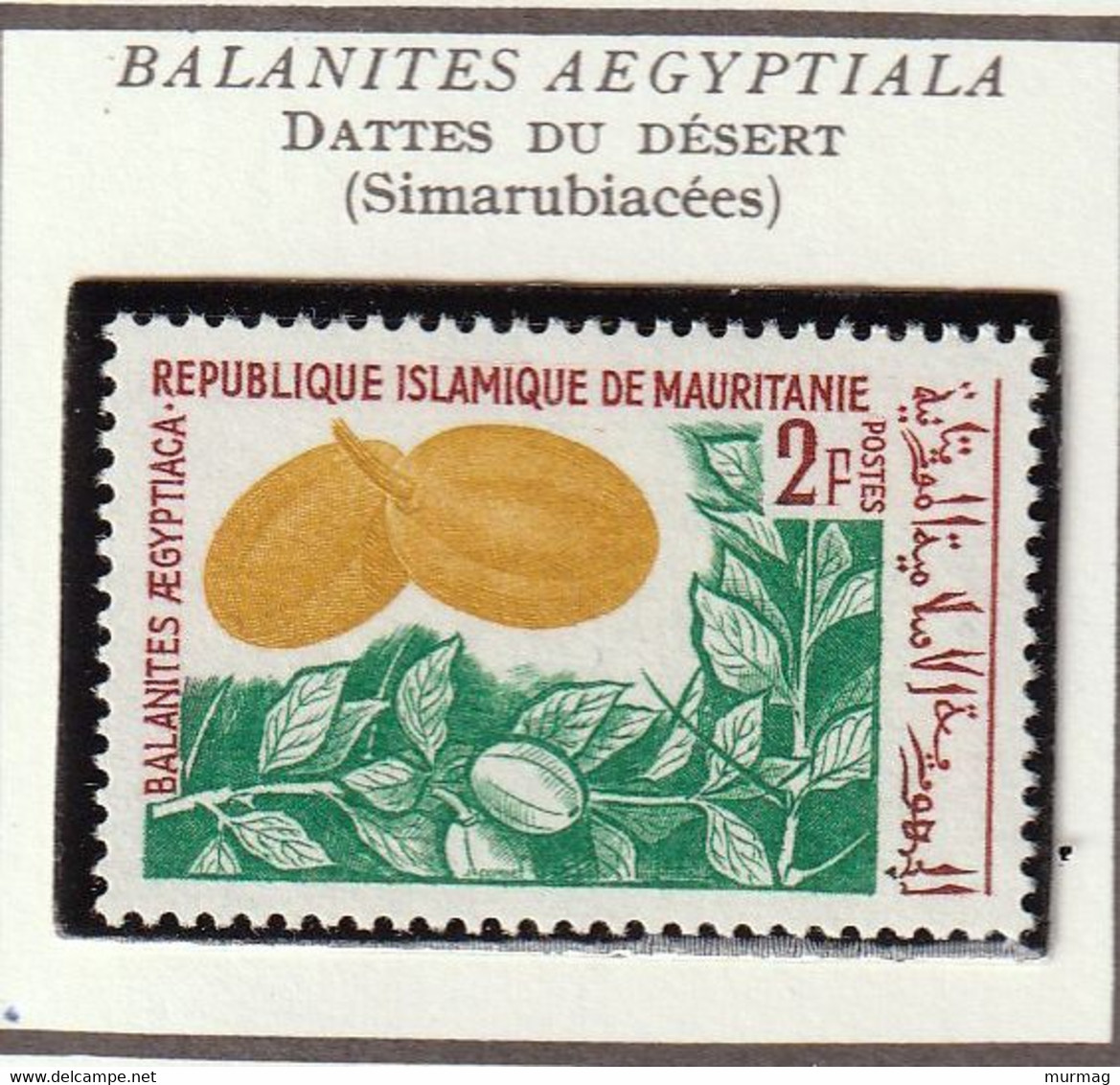 MAURITANIE - Fruits, Dattes, Jujubier, Palmier, Boabab, Dattier - Y&T N° 241-245 - 1967 - MNH - Mauritanie (1960-...)