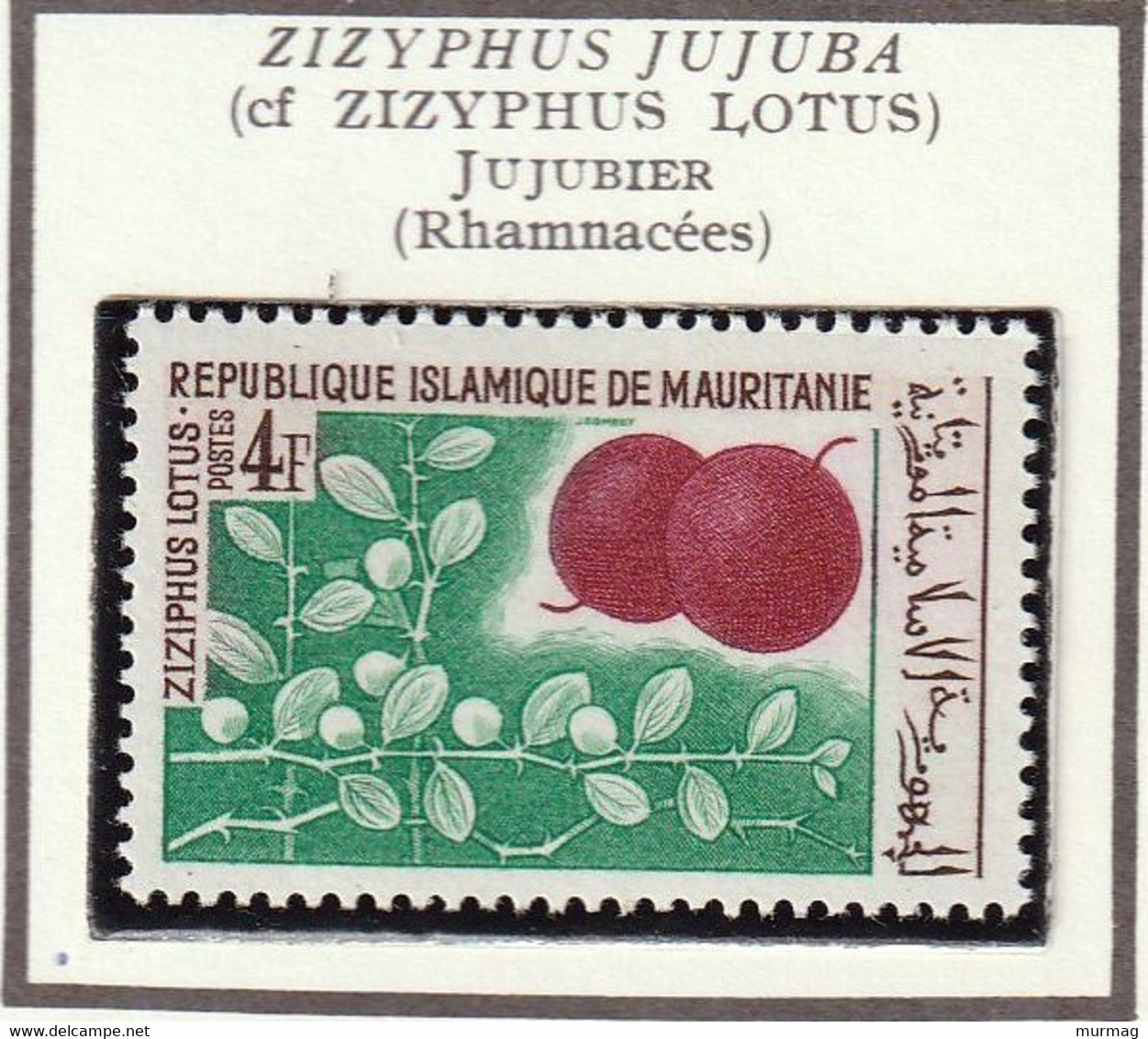 MAURITANIE - Fruits, Dattes, Jujubier, Palmier, Boabab, Dattier - Y&T N° 241-245 - 1967 - MNH - Mauritanie (1960-...)