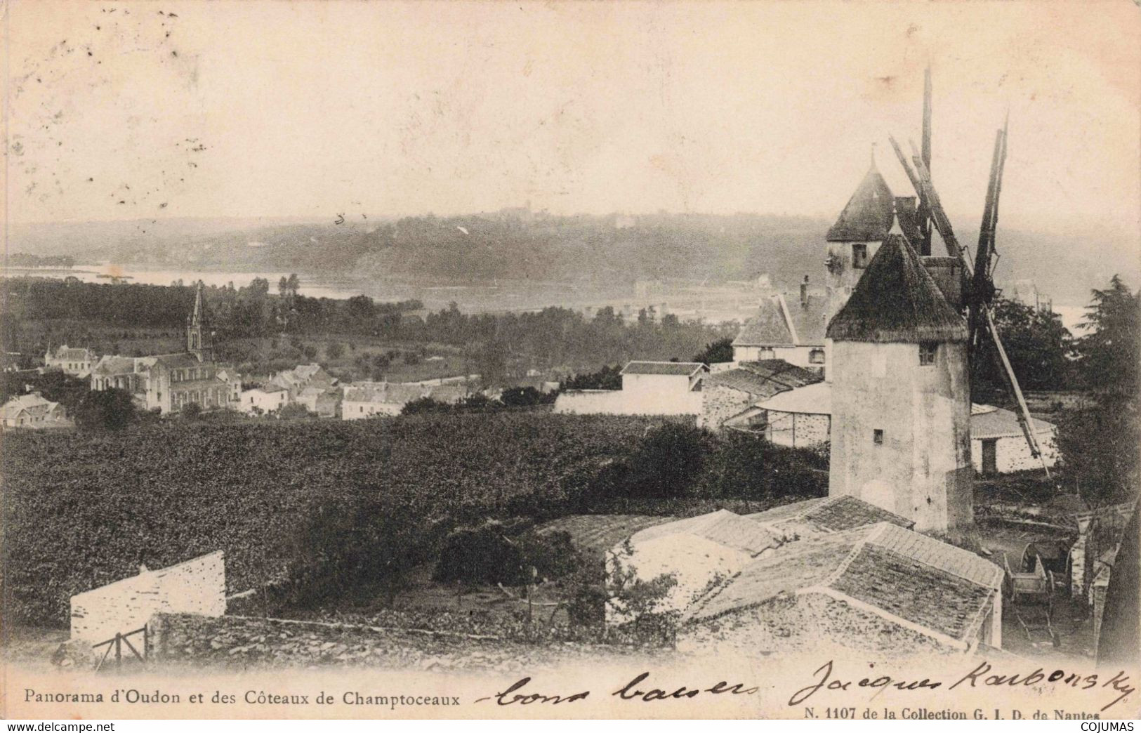 44 - OUDON - S10486 - Panorama D'Oudon Et Des Côteaux De Champtoceaux - Moulin - L1 - Oudon