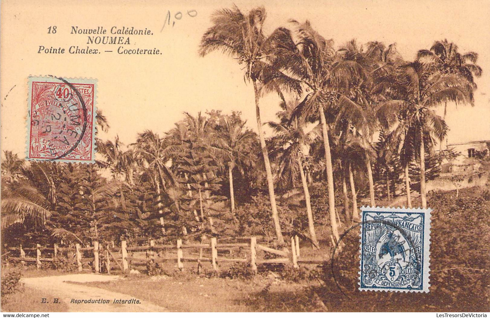 Nouvelle Calédonie - Nouméa - Pointe Chalex - Cocoteraie - Edit. E.E. - Palmier - Carte Postale Ancienne - Nuova Caledonia