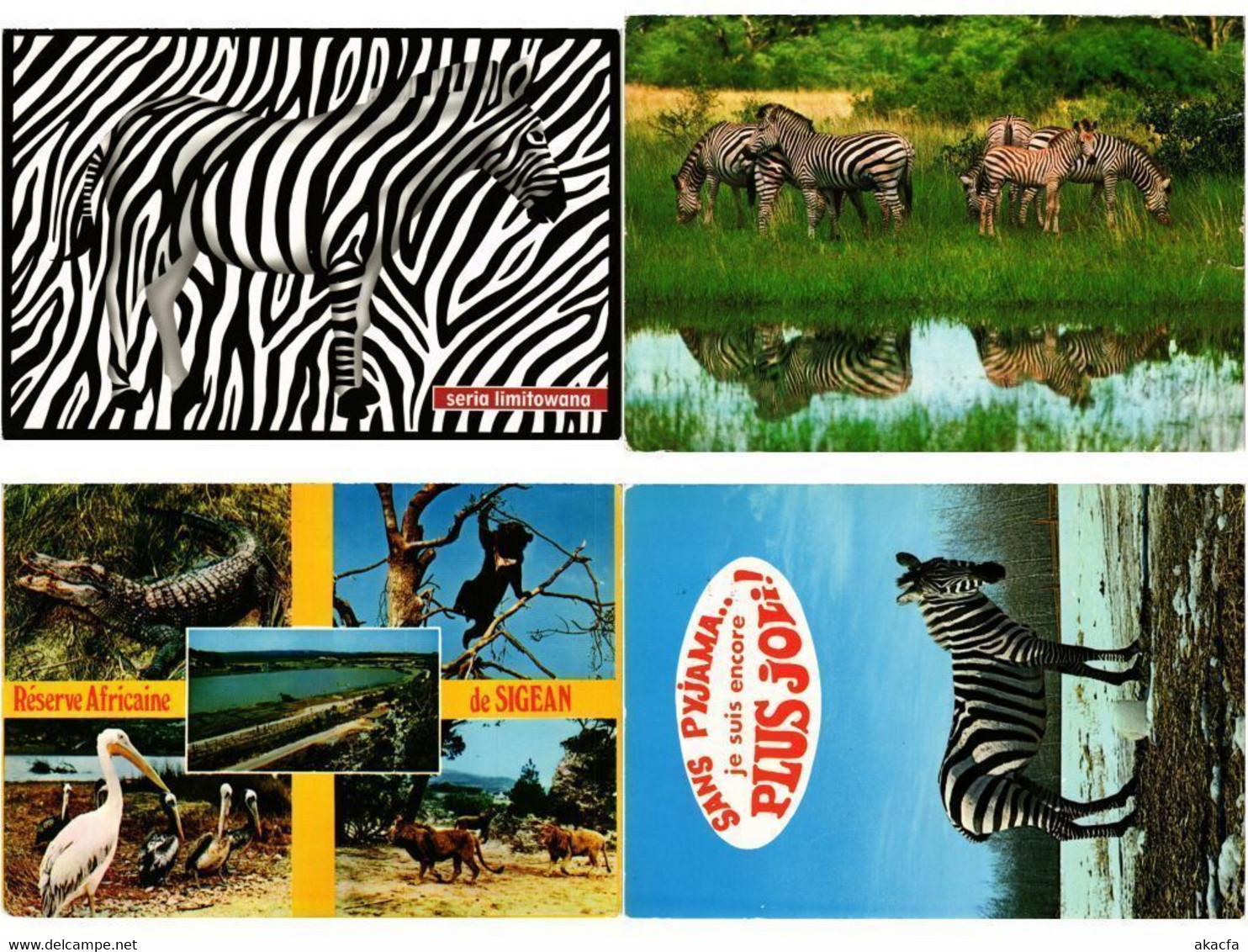 ZEBRA, ZEBRAS, ANIMALS 31 Modern Postcards (L4499)