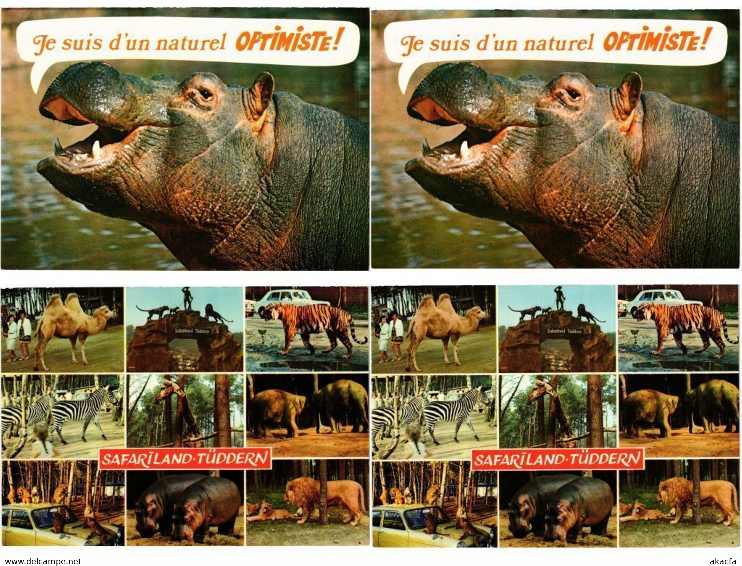 HIPPOPOTAMUS, HIPPO, HIPPOS, ANIMALS 27 Modern Postcards (L4496) - Hippopotames