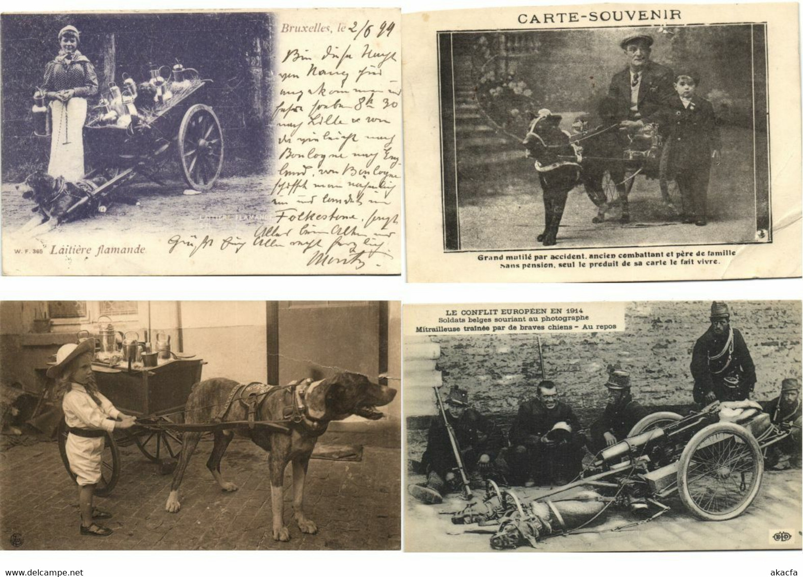 DOG CARTS BELGIUM 24 Vintage Postcards (L3306)