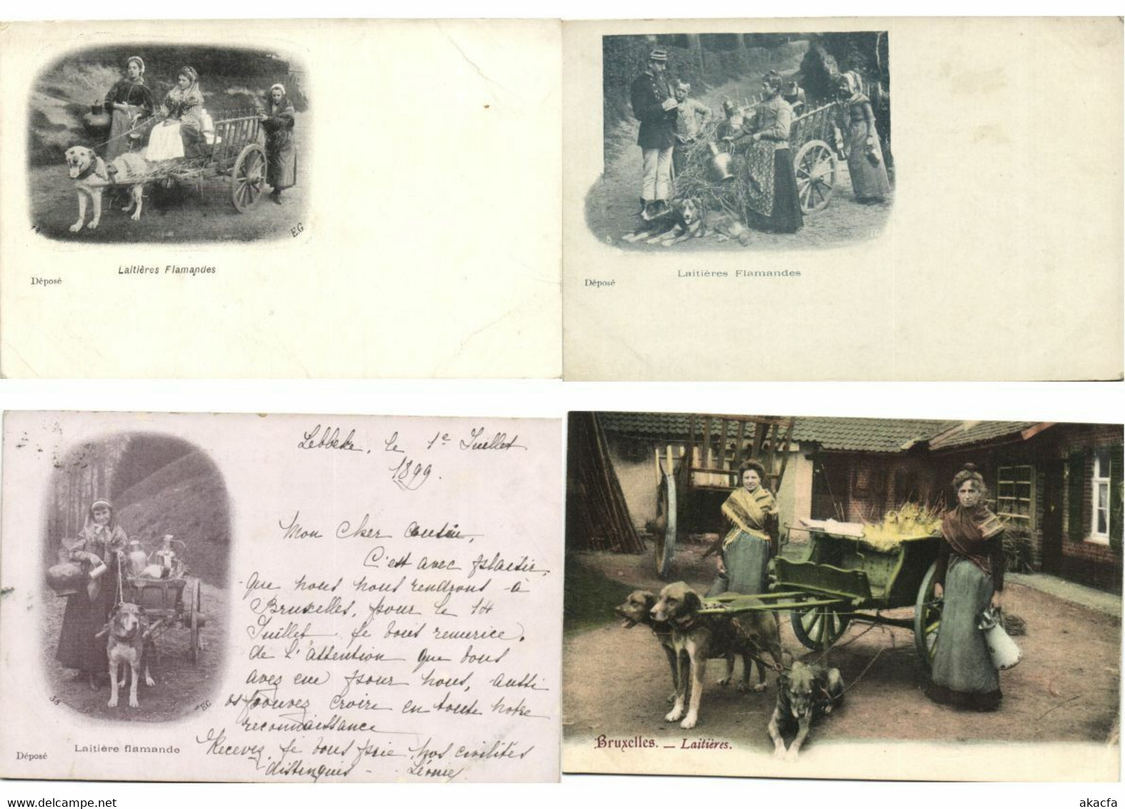 DOG CARTS BELGIUM 24 Vintage Postcards (L3306)