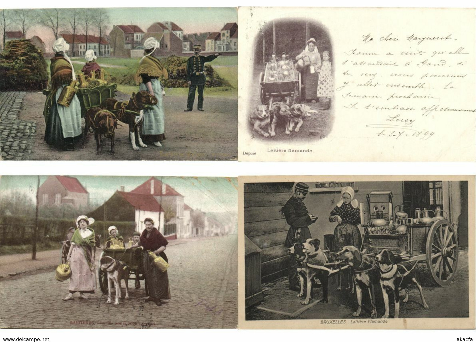 DOG CARTS BELGIUM 24 Vintage Postcards (L3306)