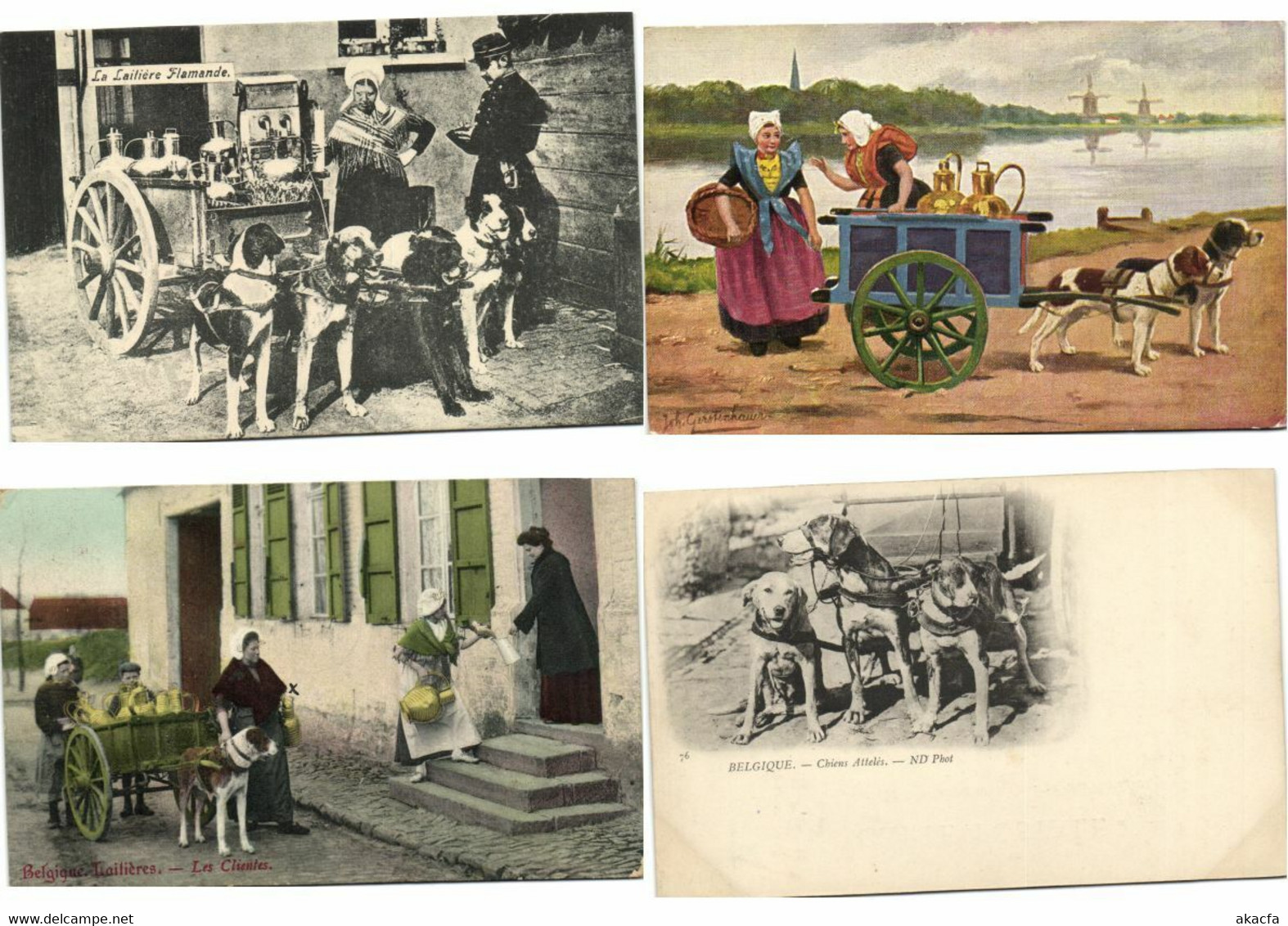 DOG CARTS BELGIUM 24 Vintage Postcards (L3306)