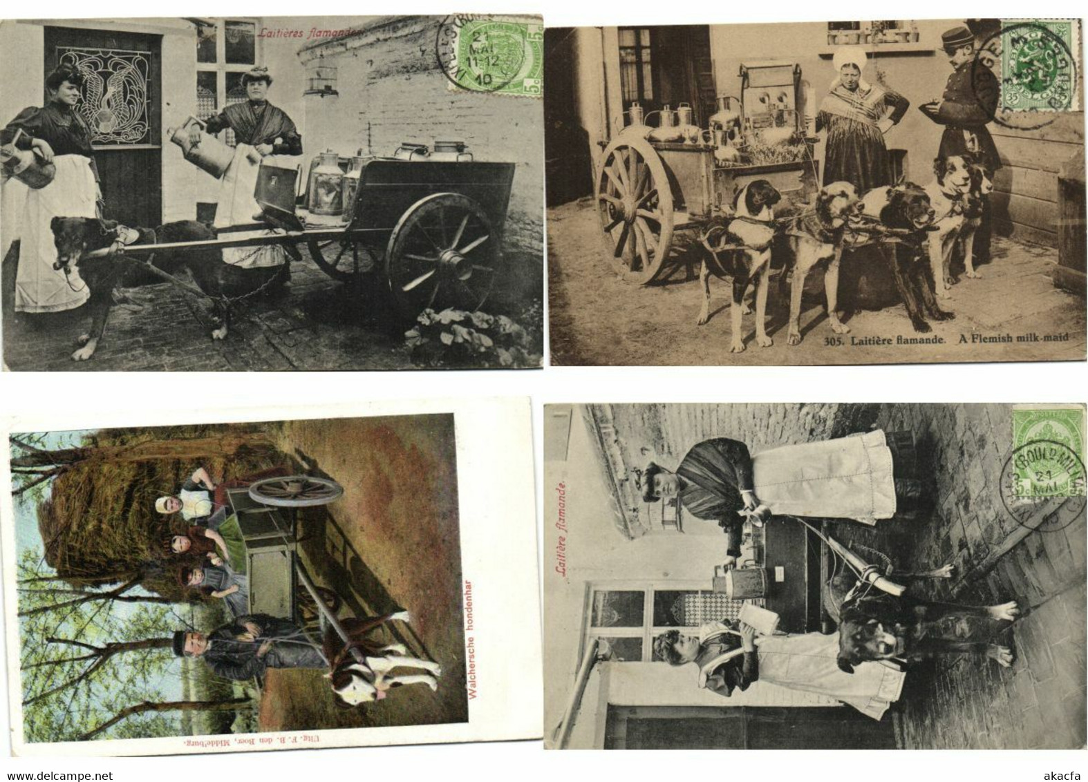 DOG CARTS BELGIUM 24 Vintage Postcards (L3306)