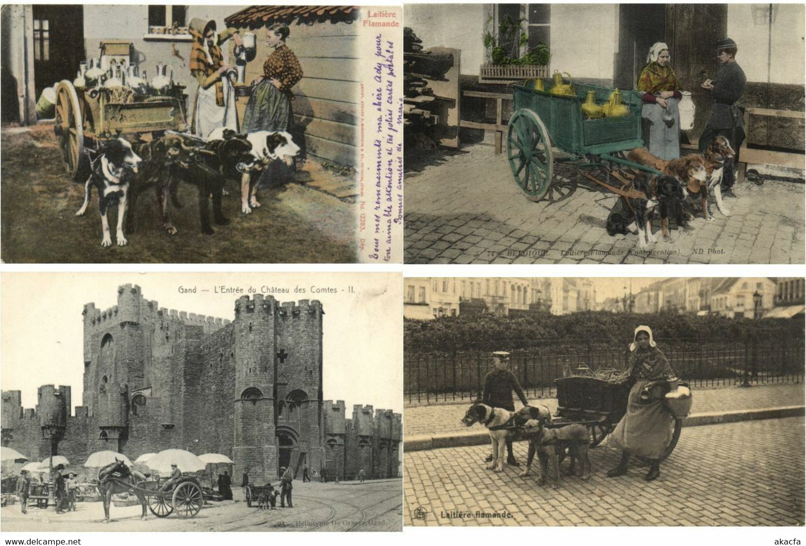 DOG CARTS BELGIUM With BETTER 51 Vintage Postcards Pre-1940 (L4315) - Collections & Lots