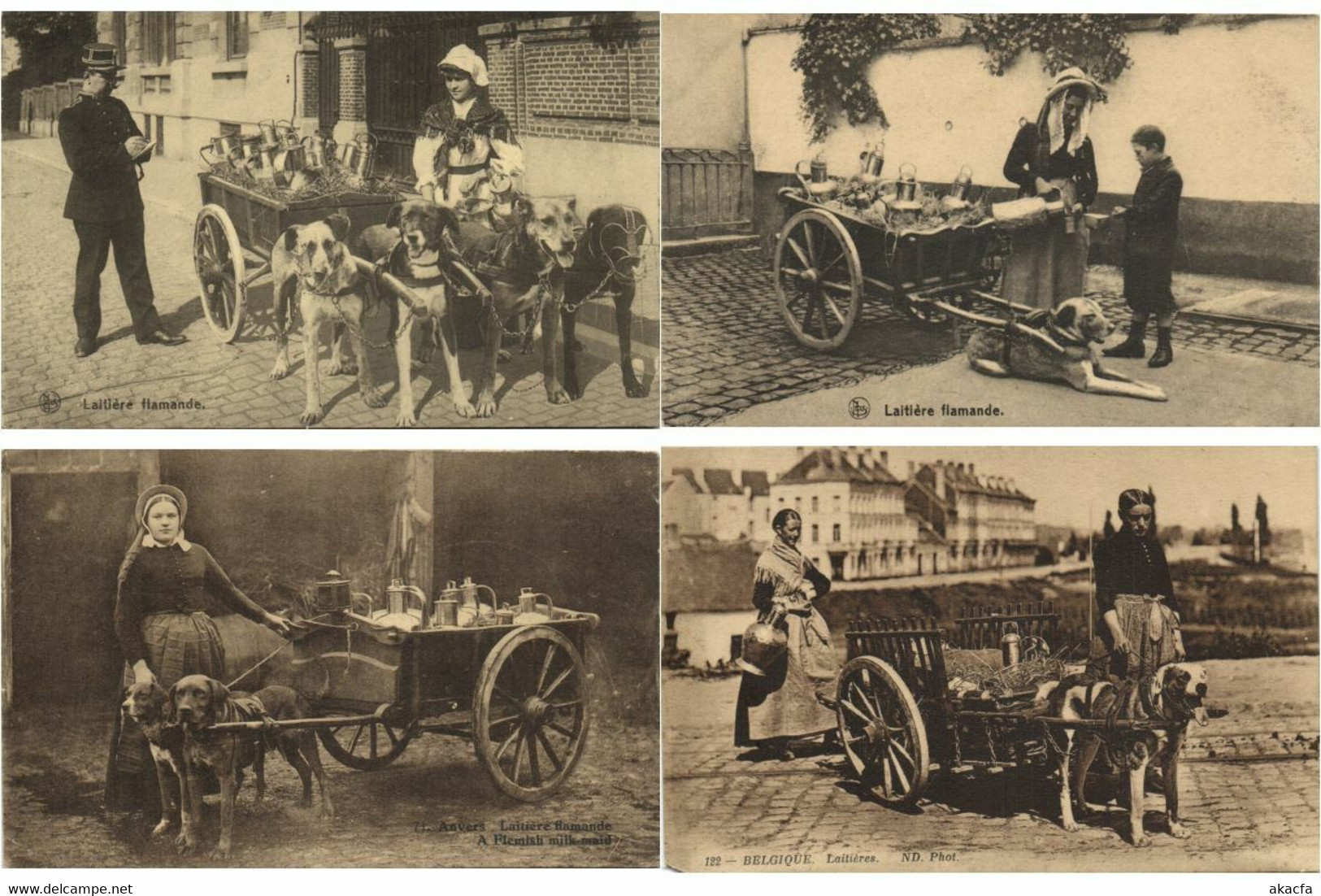 DOG CARTS BELGIUM With BETTER 51 Vintage Postcards Pre-1940 (L4315) - Collections & Lots