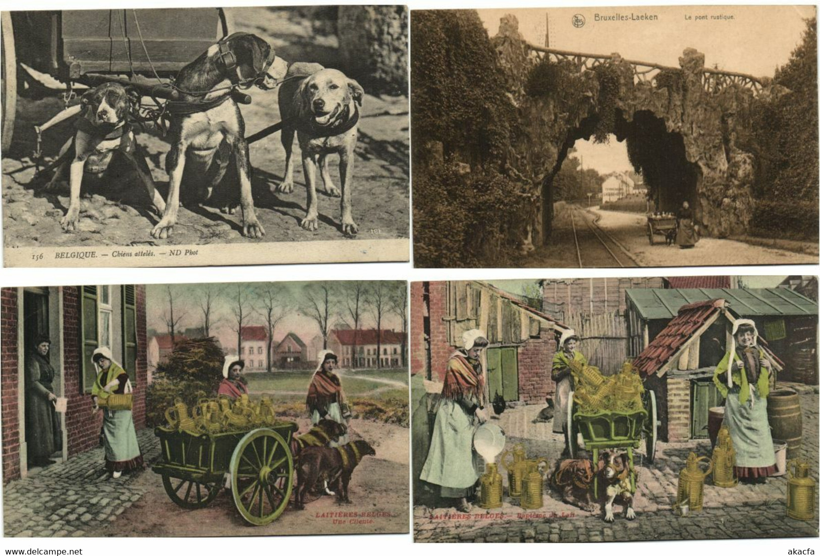 DOG CARTS BELGIUM with BETTER 51 Vintage Postcards Pre-1940 (L4315)