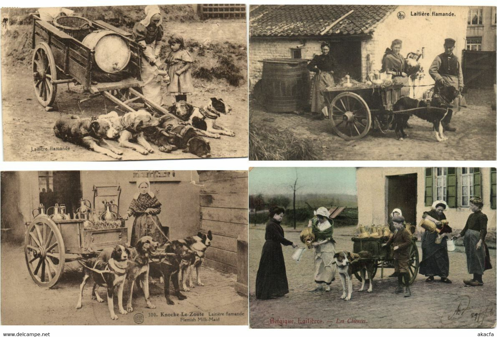 DOG CARTS BELGIUM with BETTER 51 Vintage Postcards Pre-1940 (L4315)