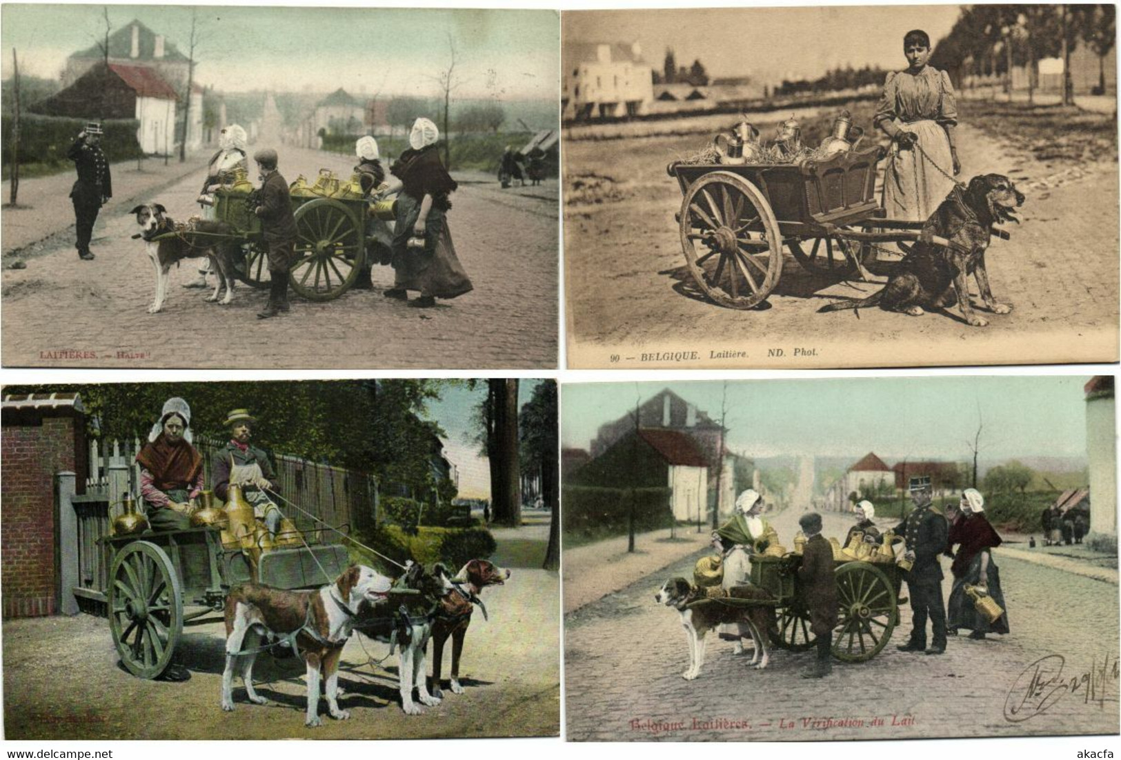 DOG CARTS BELGIUM with BETTER 51 Vintage Postcards Pre-1940 (L4315)