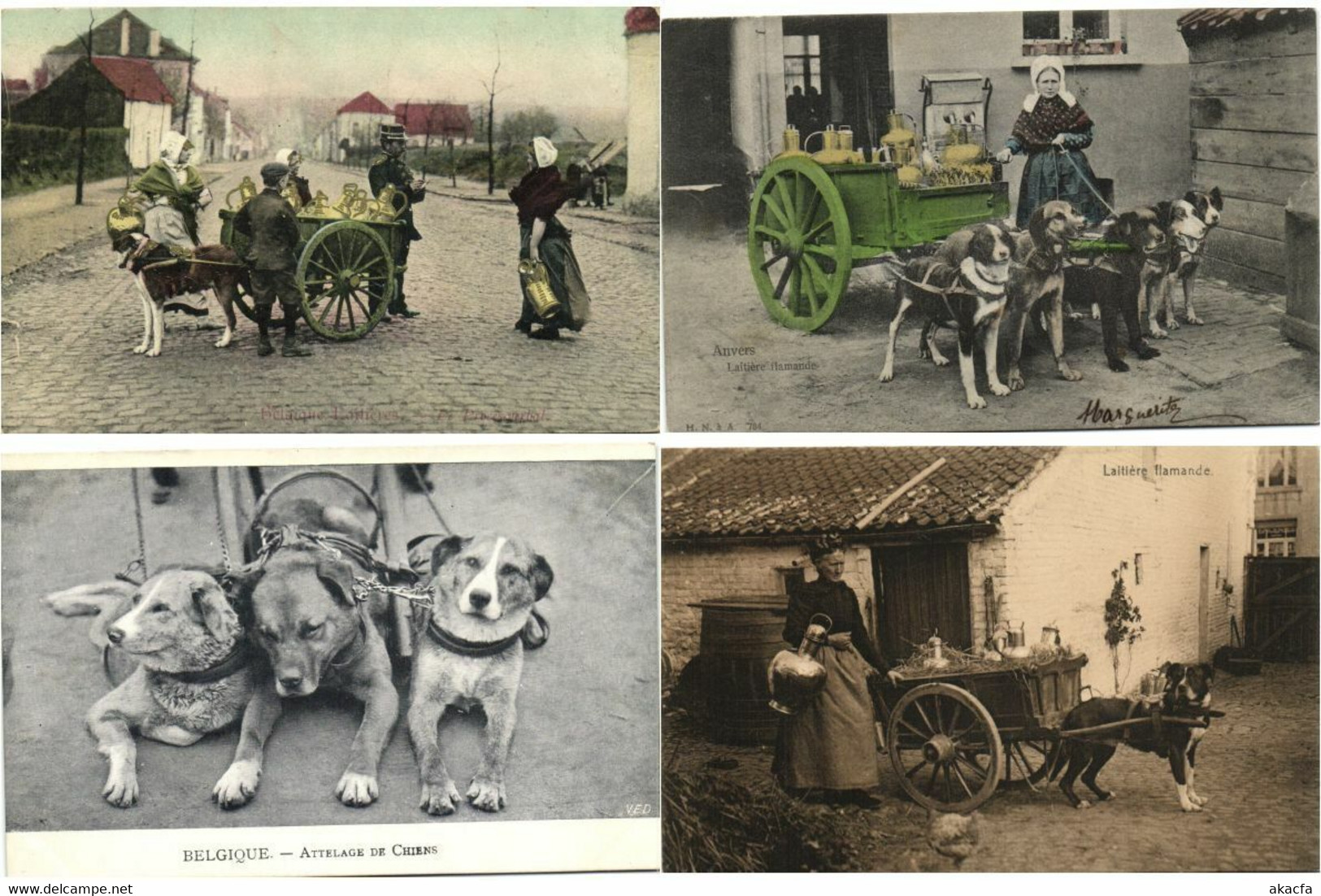 DOG CARTS BELGIUM with BETTER 51 Vintage Postcards Pre-1940 (L4315)