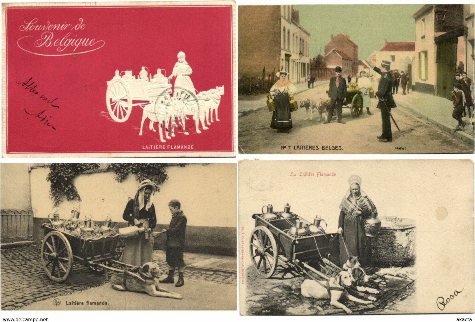 DOG CARTS BELGIUM with BETTER 51 Vintage Postcards Pre-1940 (L4315)