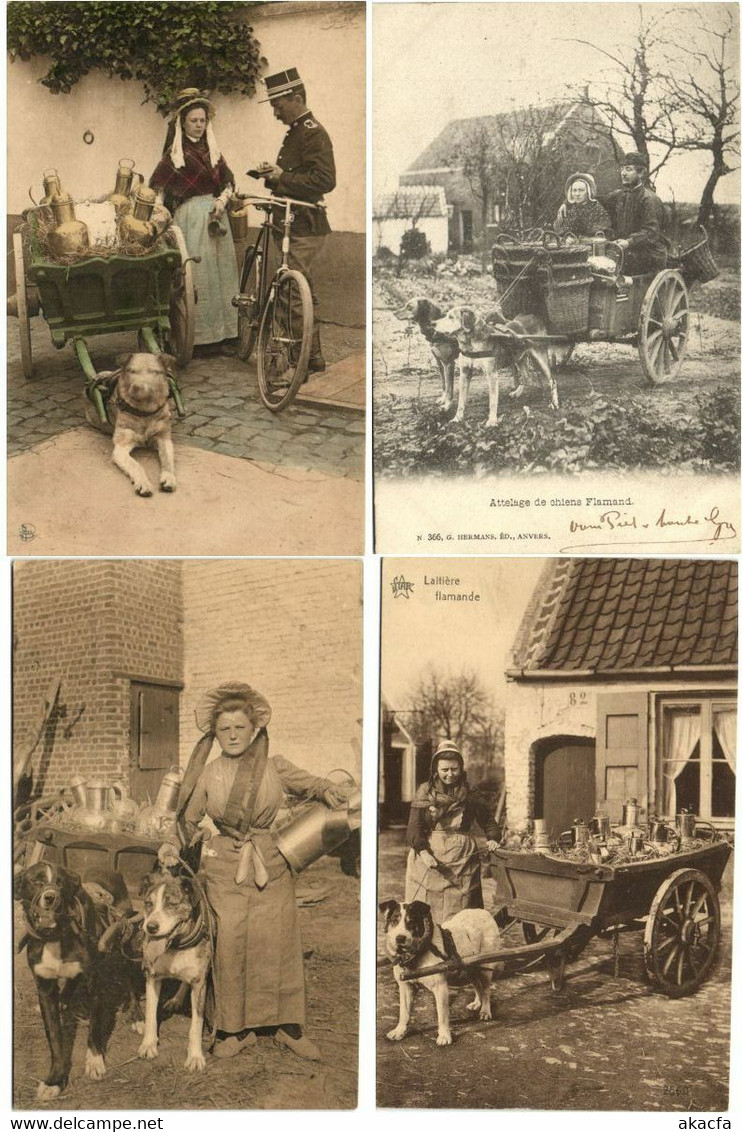 DOG CARTS BELGIUM with BETTER 51 Vintage Postcards Pre-1940 (L4315)